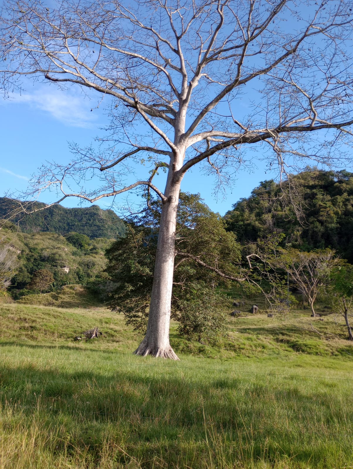 Finca en venta en Honda  Tolima