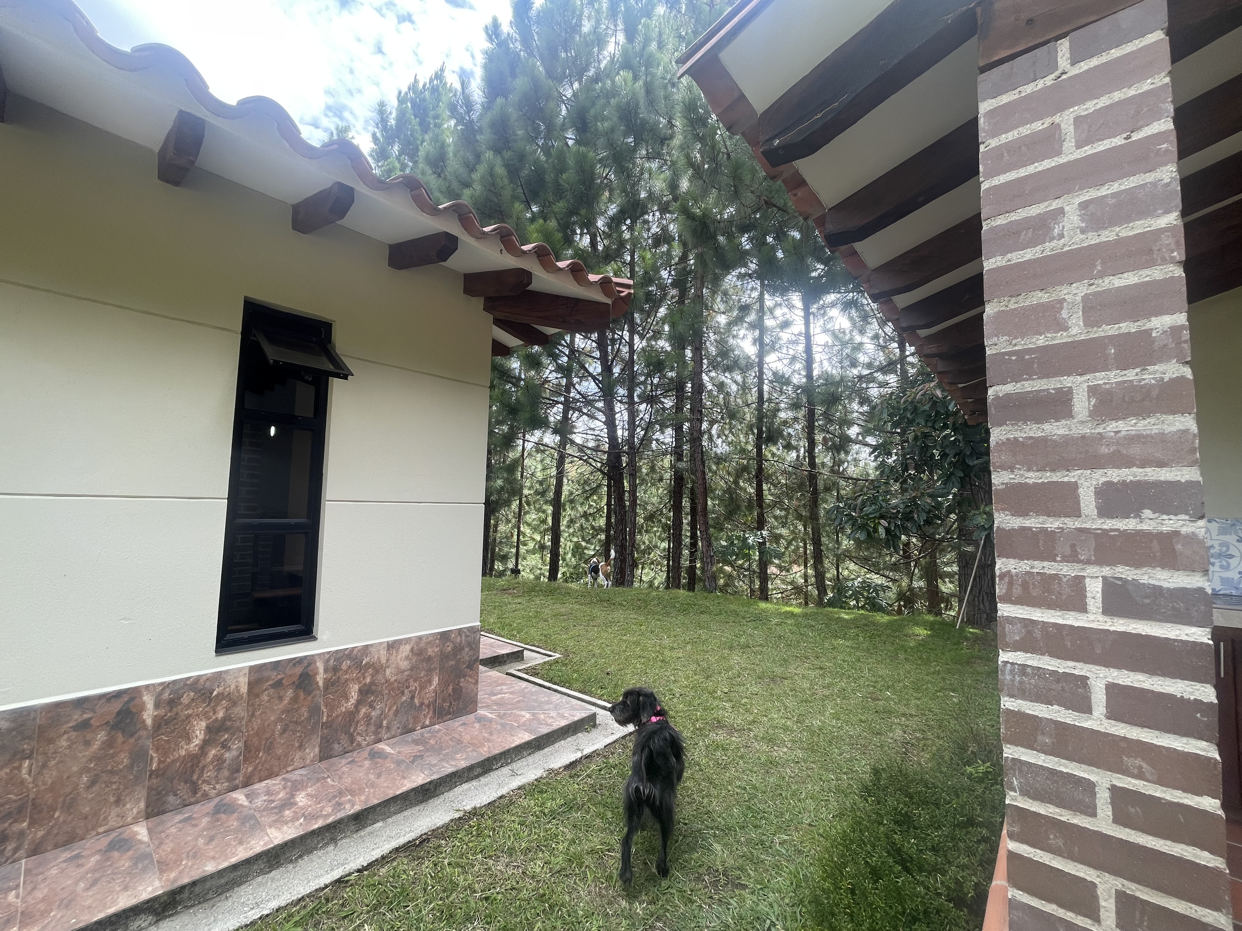 Casa campestre para la renta en San Vicente Ferrer
