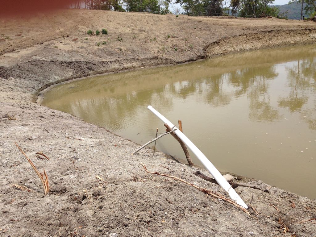 Finca en venta en el Tolima
