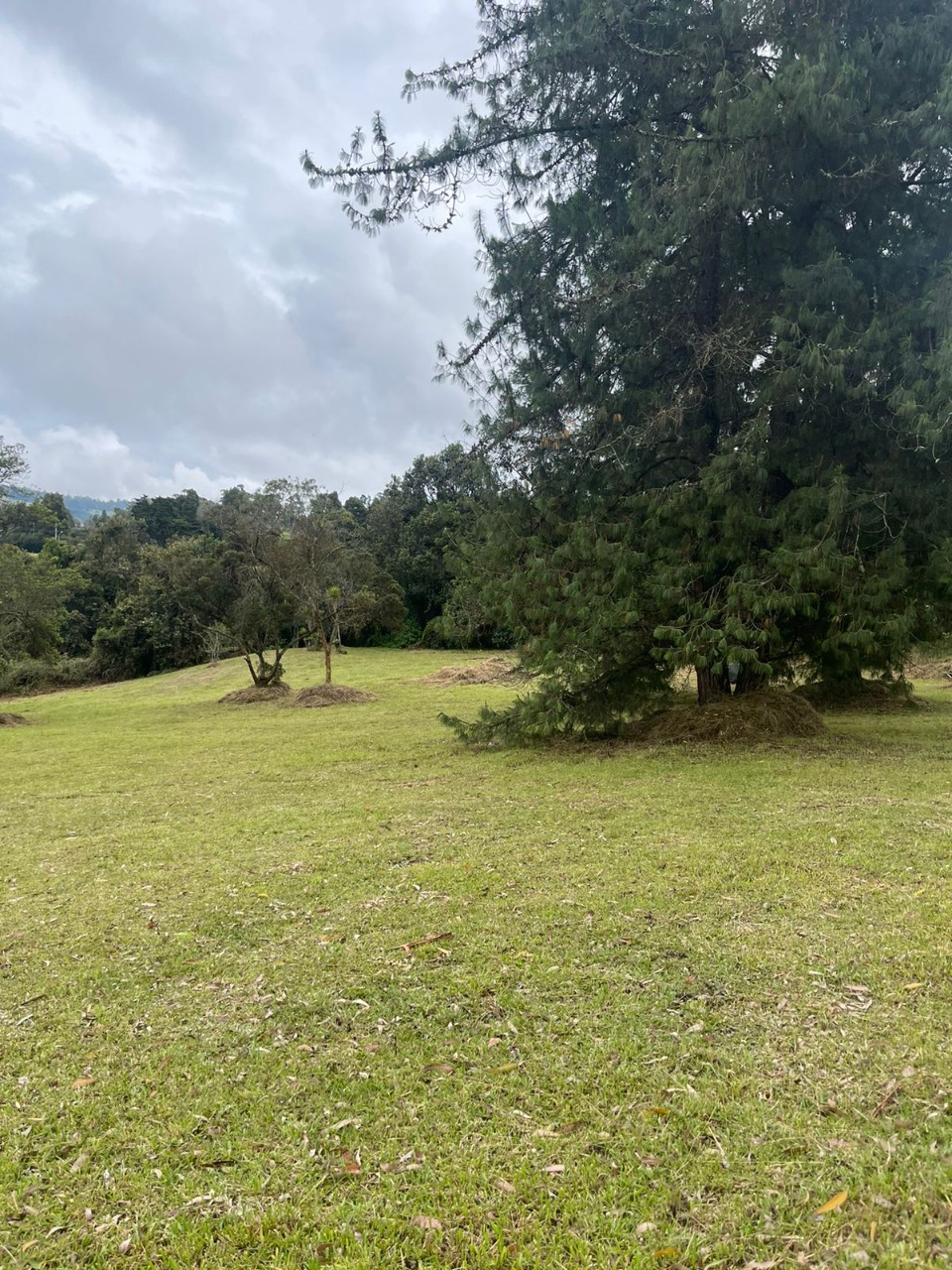 Lote en venta avenida las palmas K2 Envigado Medellín Antioquia