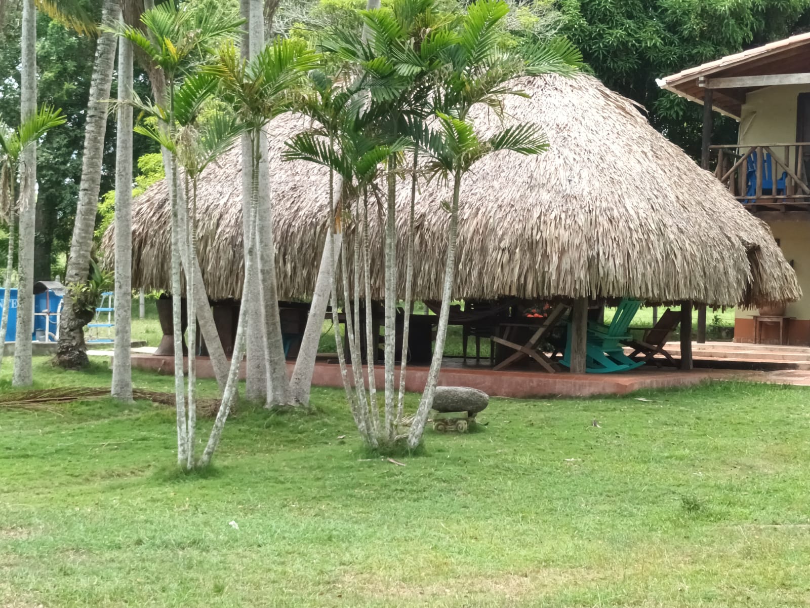 Vendo Finca Ganadera Momil Cordoba