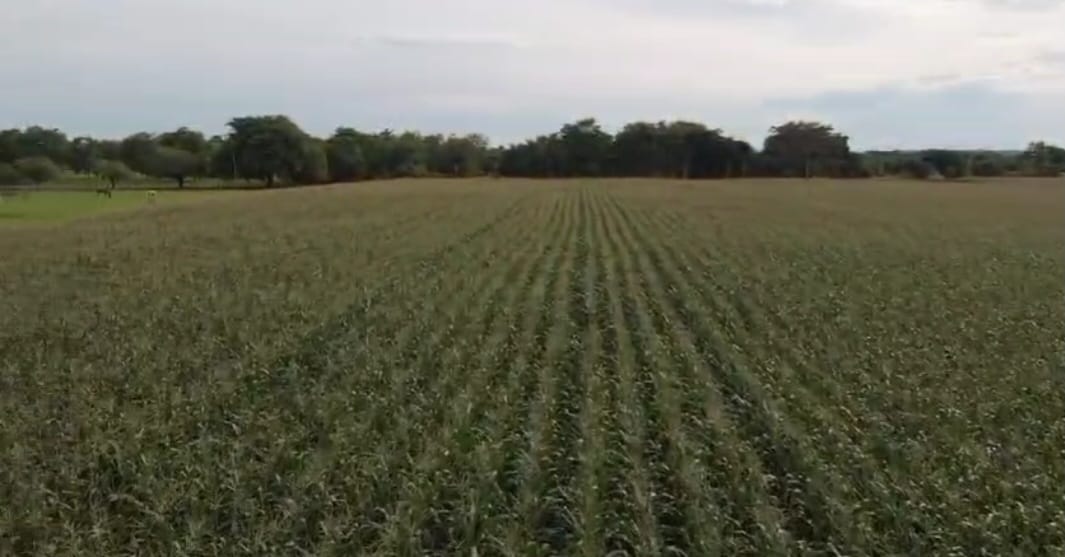 VENTA DE FINCA EN MOMIL CORDOBA MONTERIA