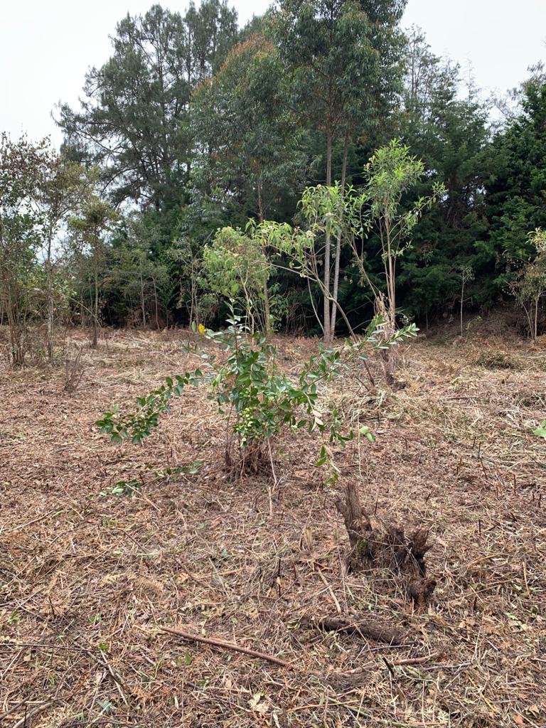 Venta de Lote en Rionegro