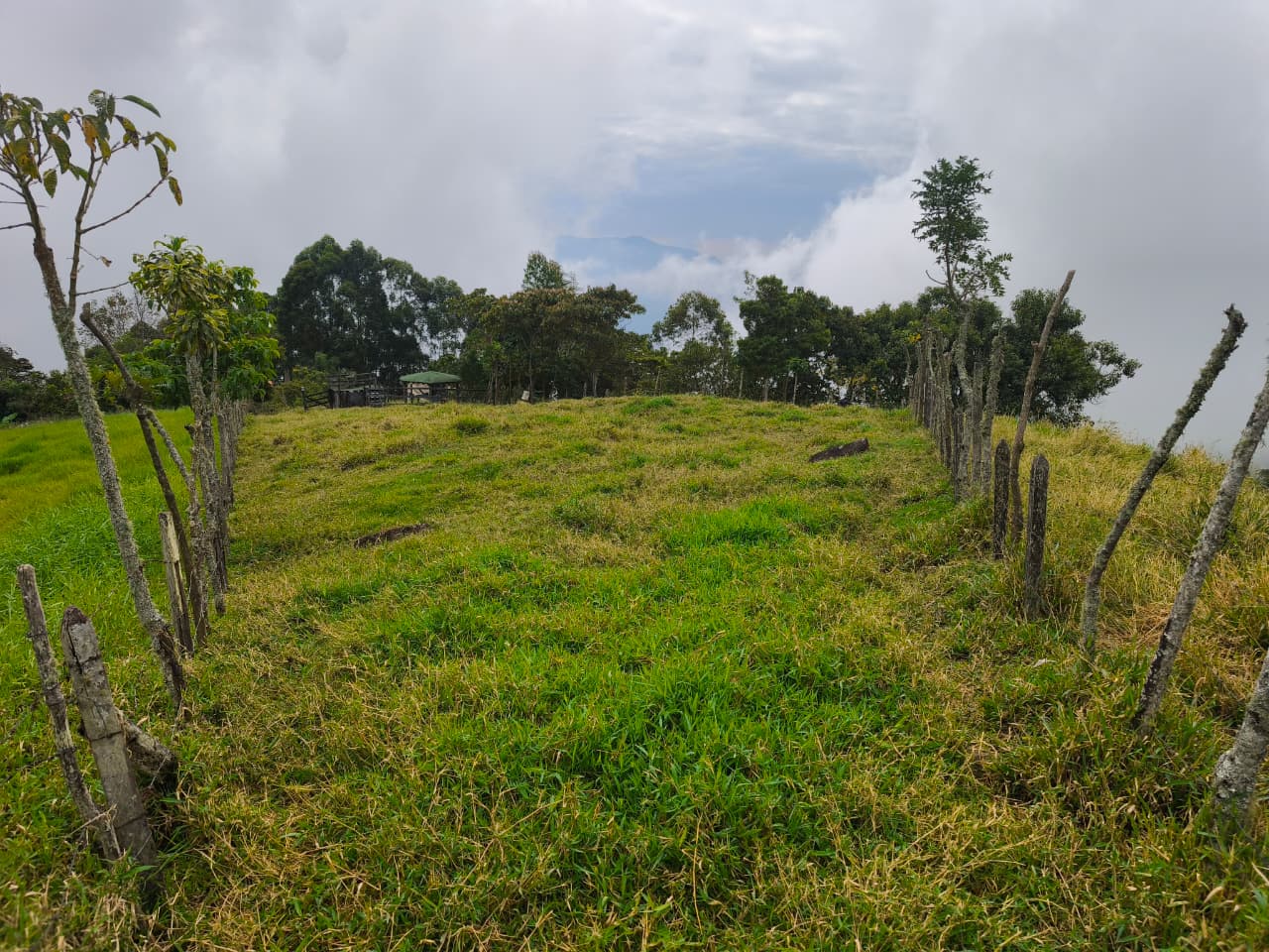 Finca en venta Titiribí Antioquia sector jardín