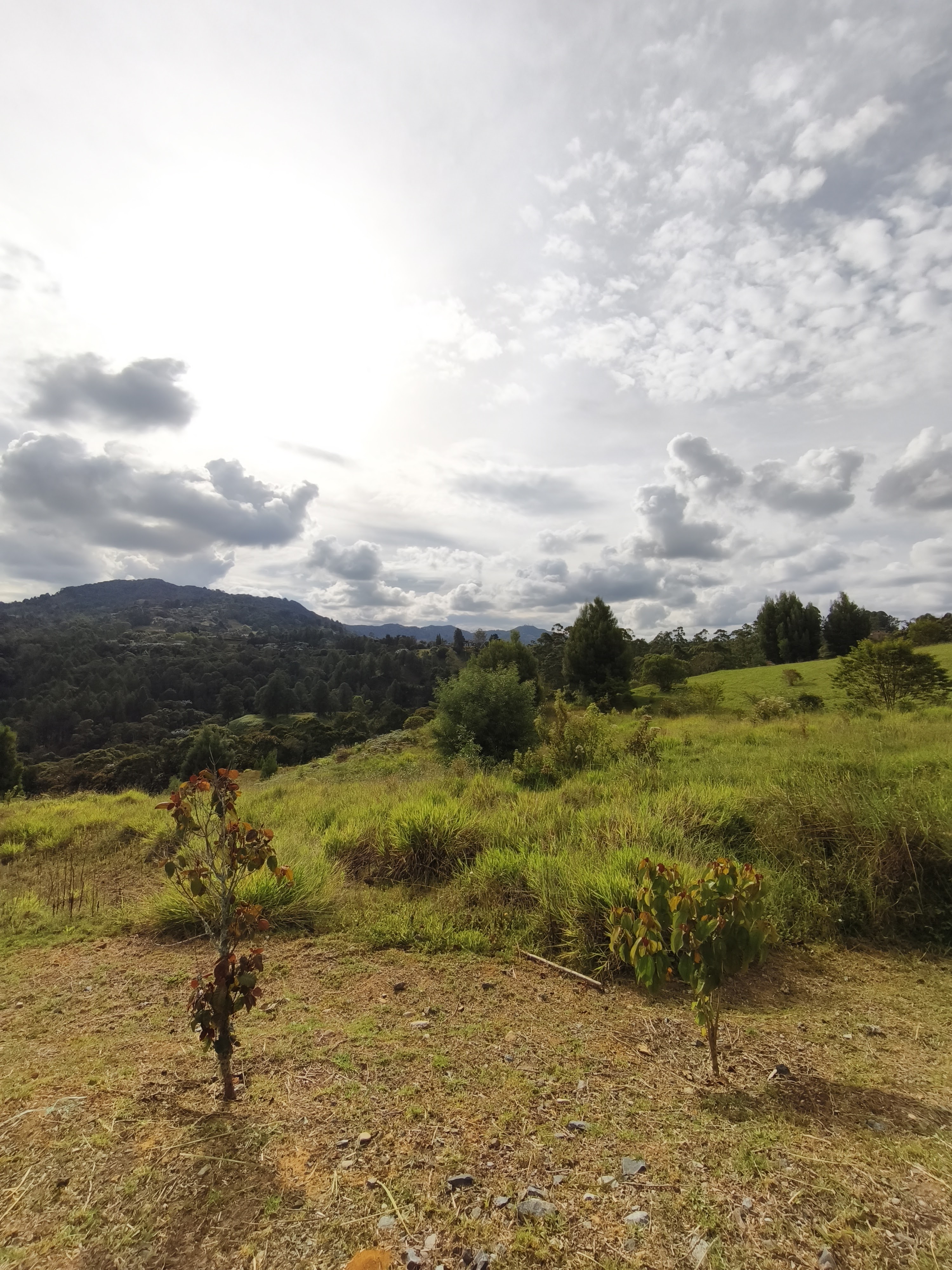 Venta de lote en Rionegro El Tablazo