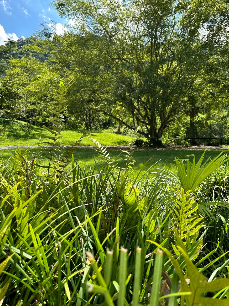 Casa finca  en la Siria Venecia  Antioquia