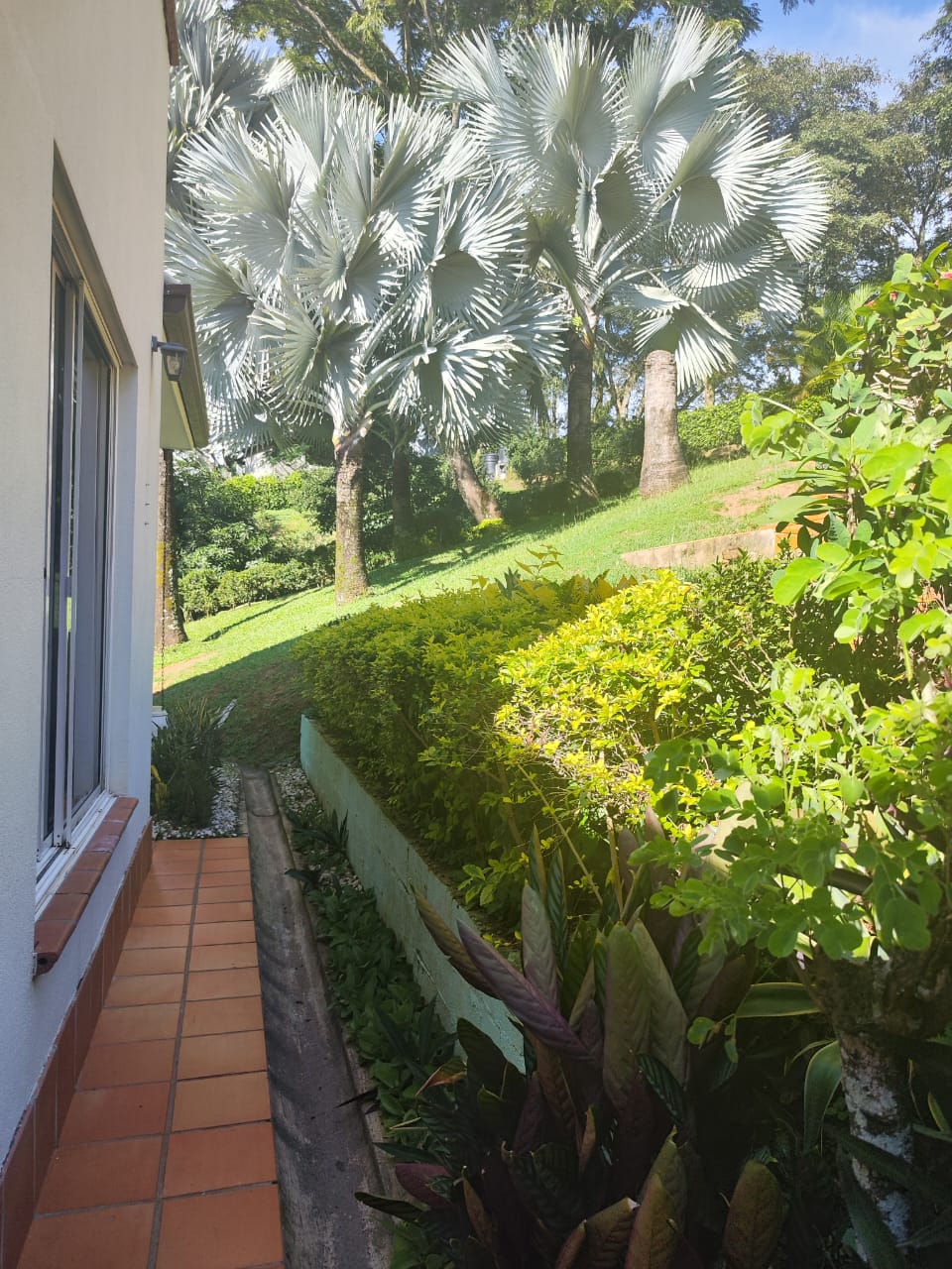 Casa finca de recreo para venta en la PIntada Antioquia