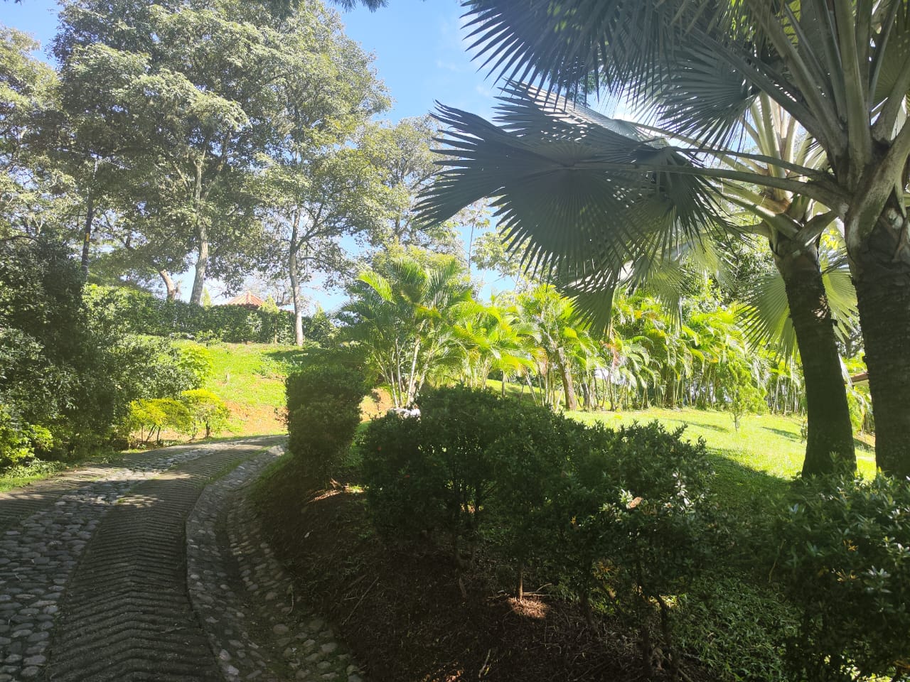 Casa finca de recreo para venta en la PIntada Antioquia