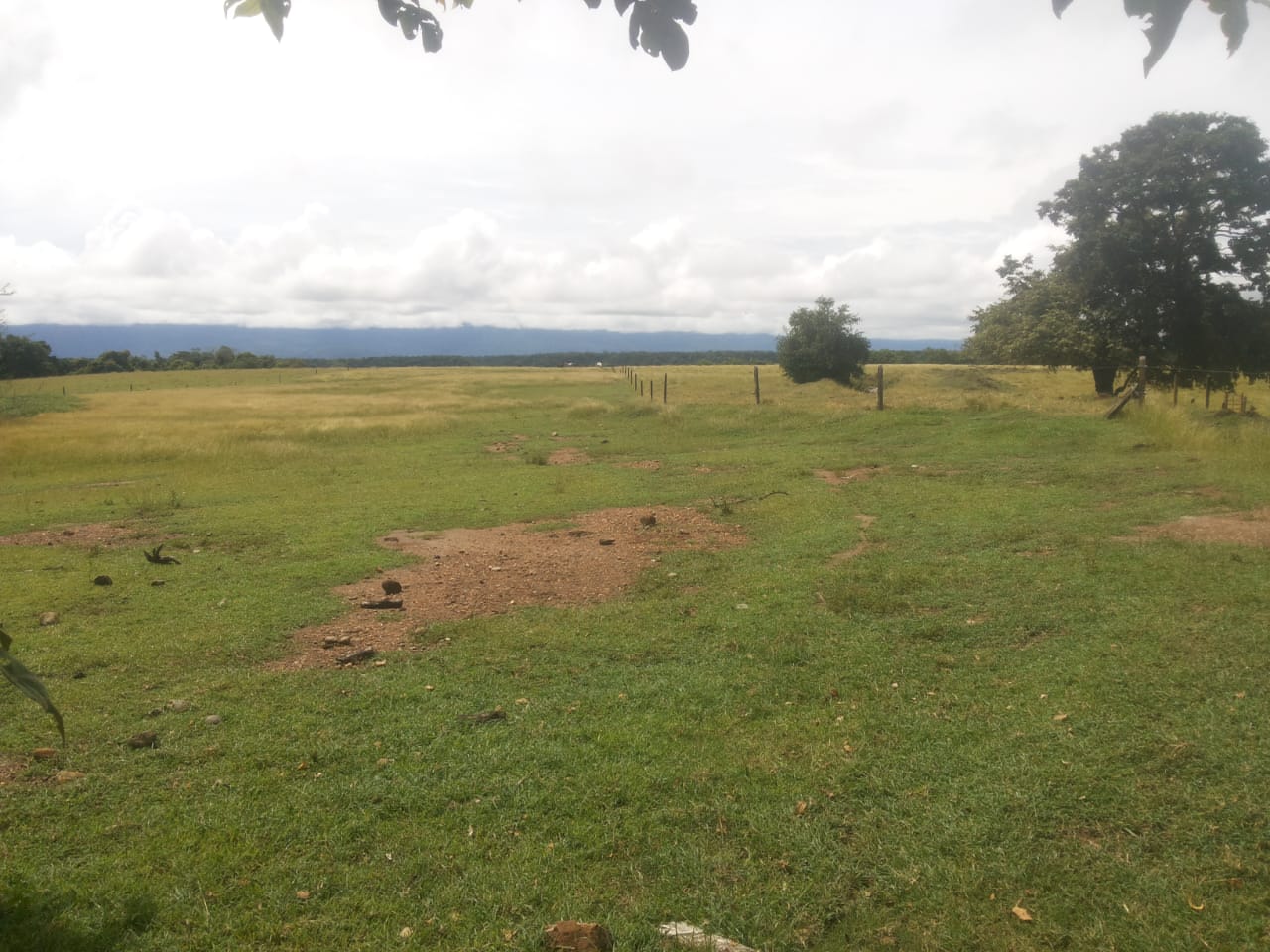 Finca en venta en el Tolima