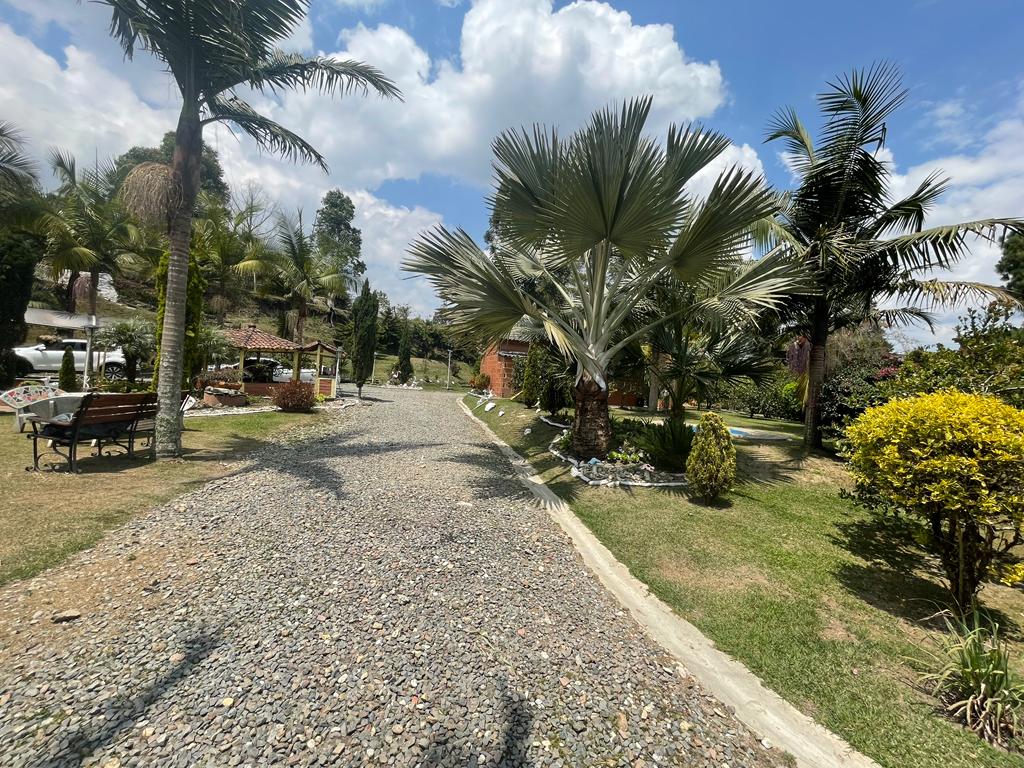 Finca en Venta en Guarne la Hondita Medellin