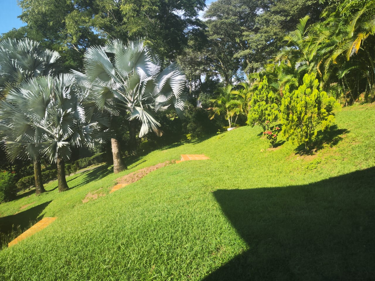 Casa finca de recreo para venta en la PIntada Antioquia