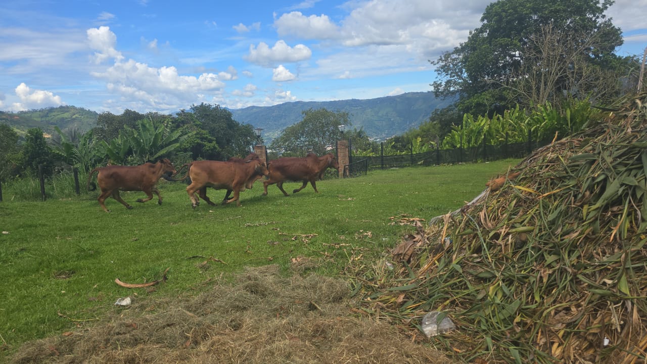FINCA PARA LA VENTA EN COPACABANA