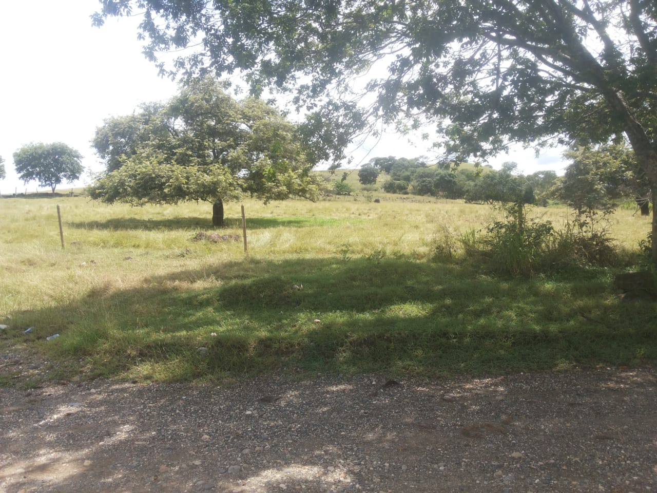 Finca en venta en el Tolima