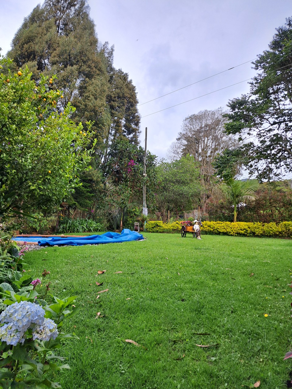 Casa campestre para arriendo en Las Palmas Envigado