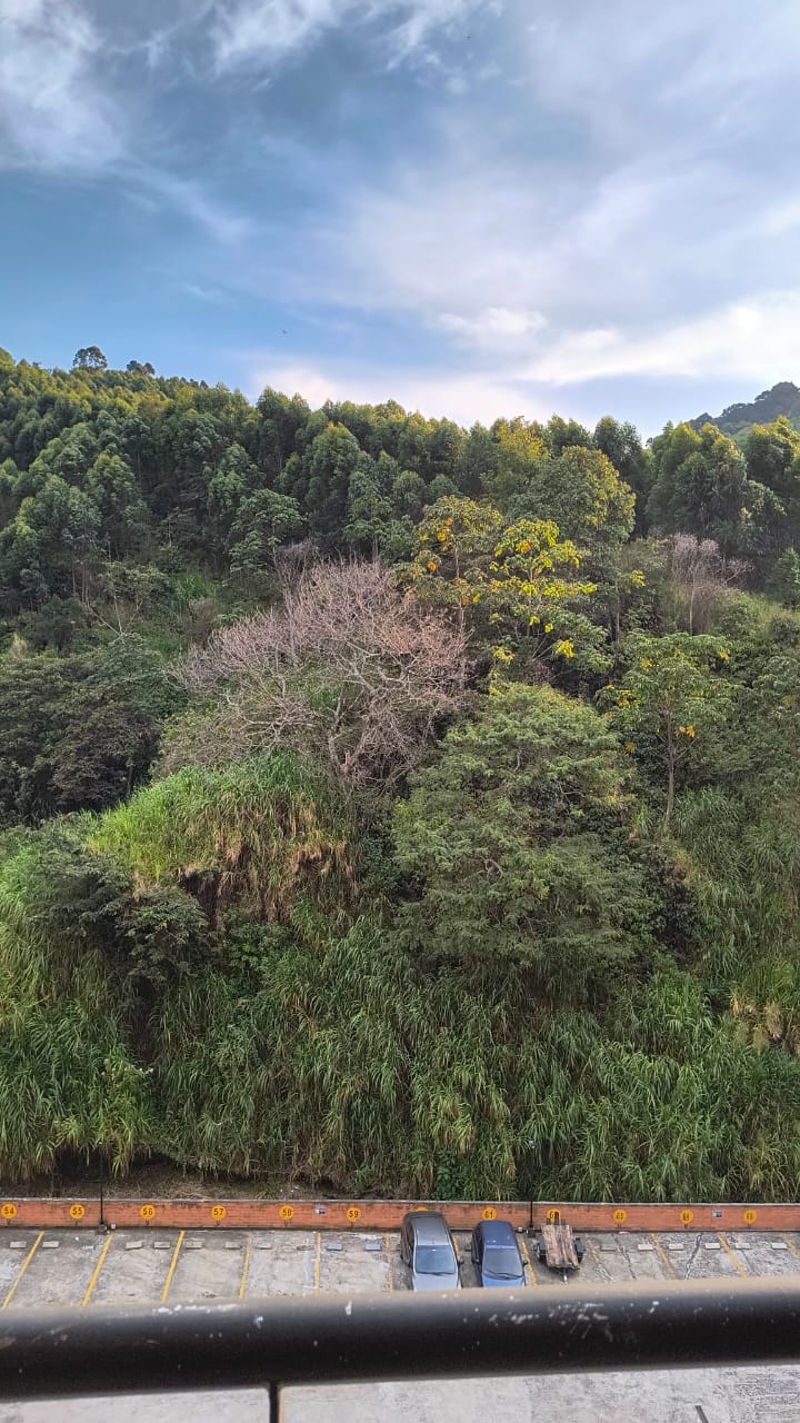 APARTAMENTO EN ARRIENDO, RODEO ALTO