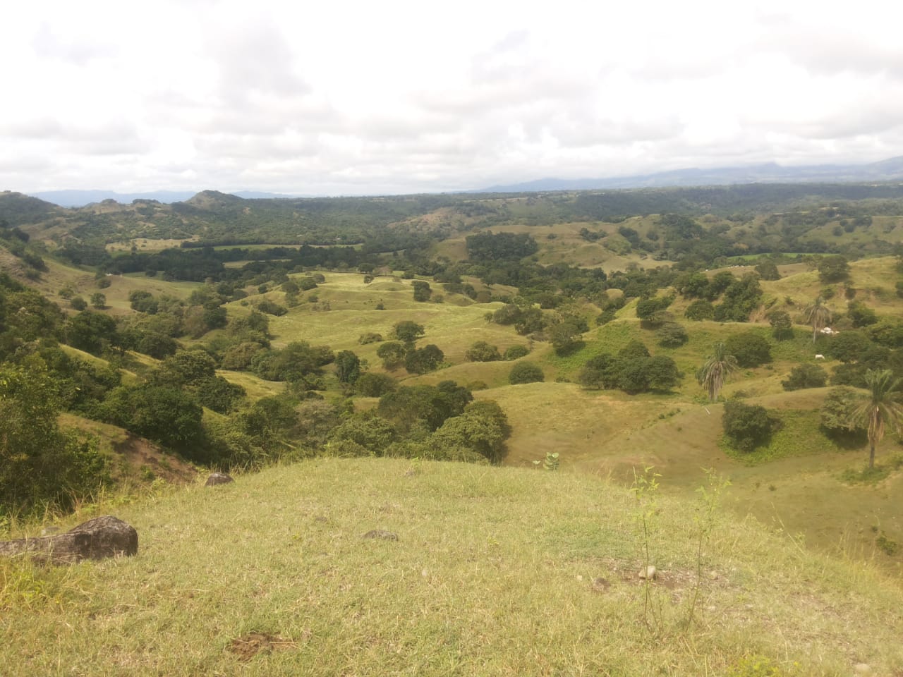 Finca en venta en el Tolima