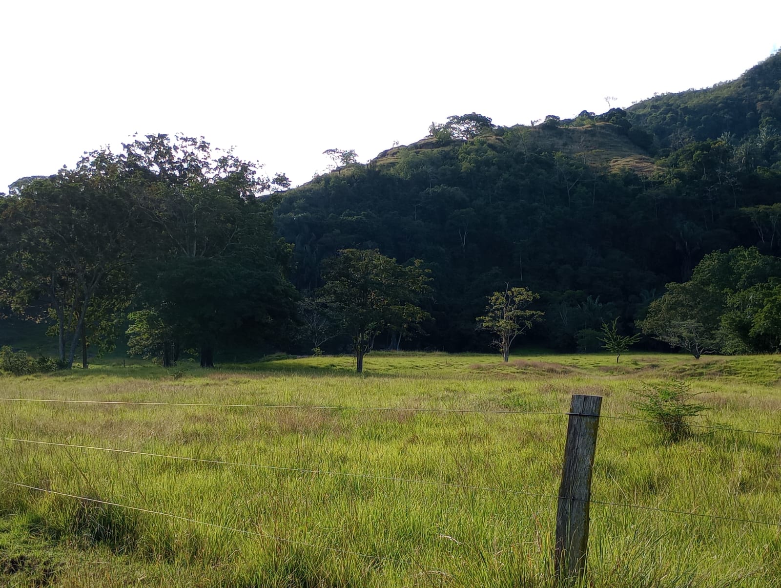 Finca en venta en Honda  Tolima