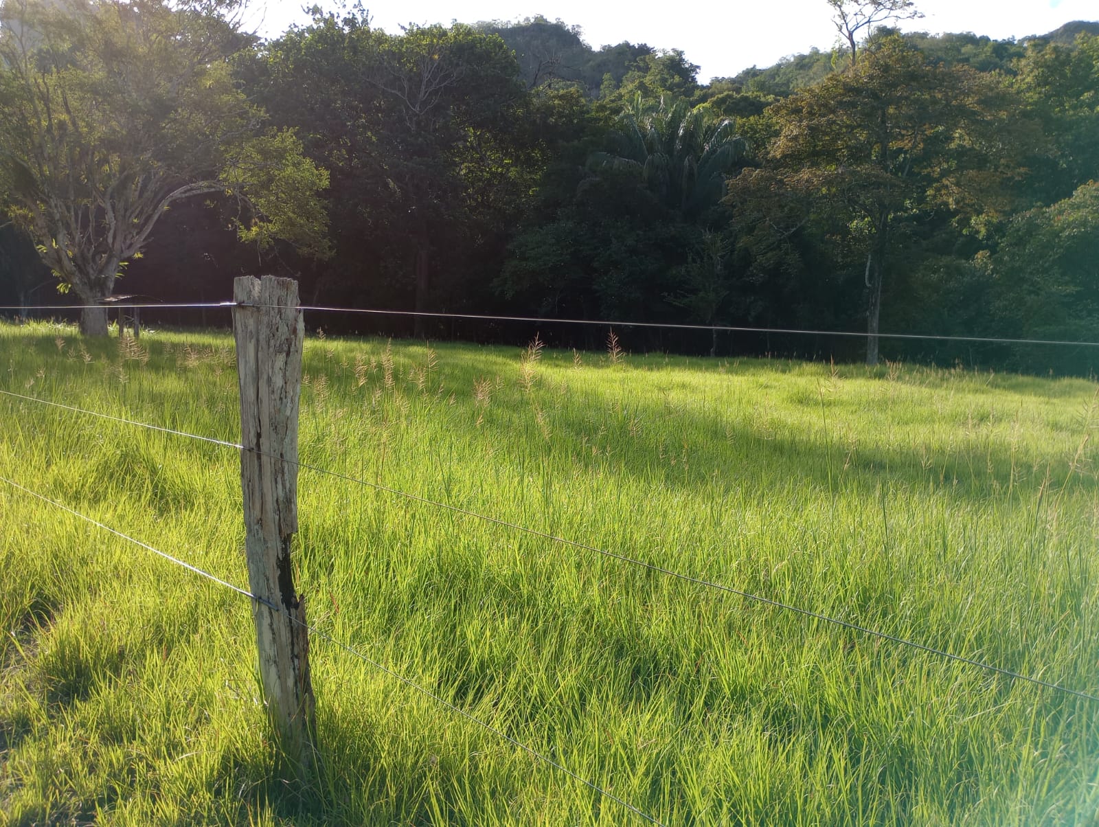 Finca en venta en Honda  Tolima