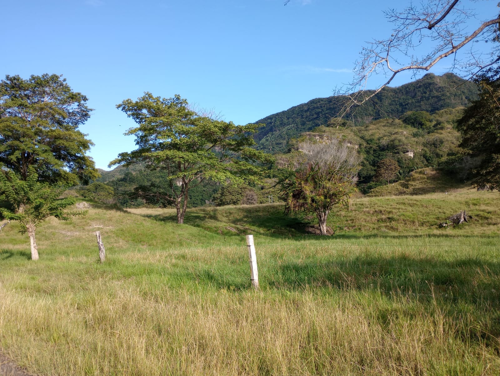 Finca en venta en Honda  Tolima