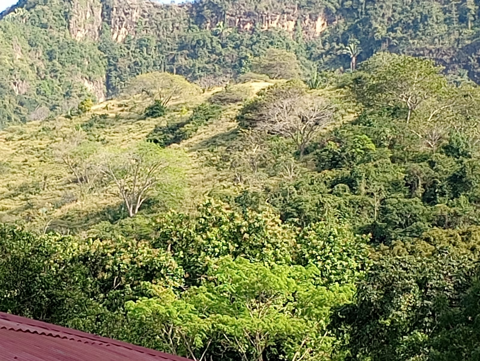 Finca en venta en Honda  Tolima