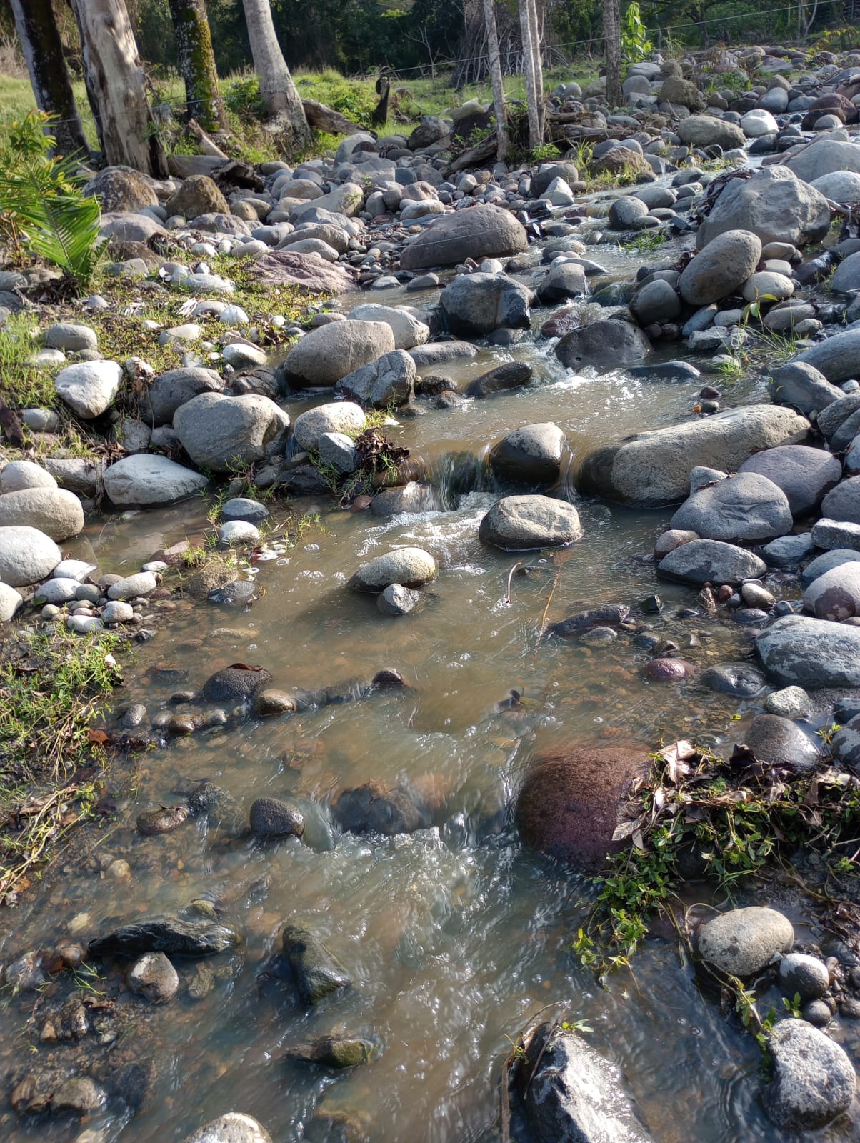 Finca en venta en Honda  Tolima