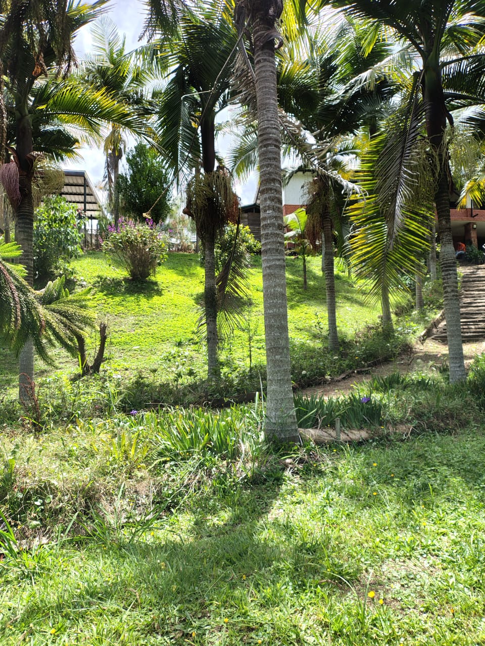 Casa para la venta en Rionegro vereda Mampuesto Antioquia