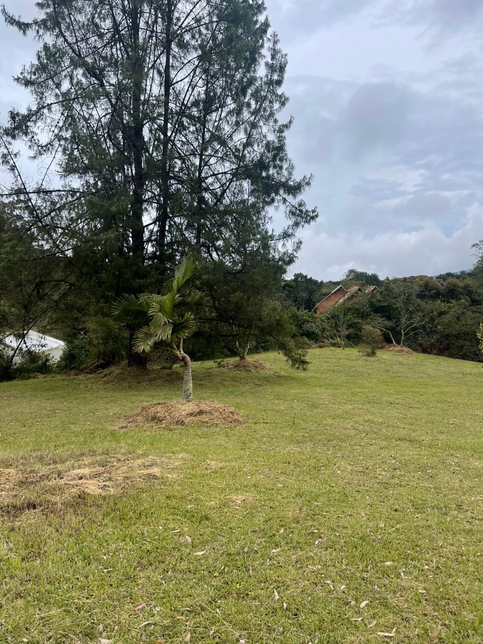 Lote en venta avenida las palmas K2 Envigado Medellín Antioquia