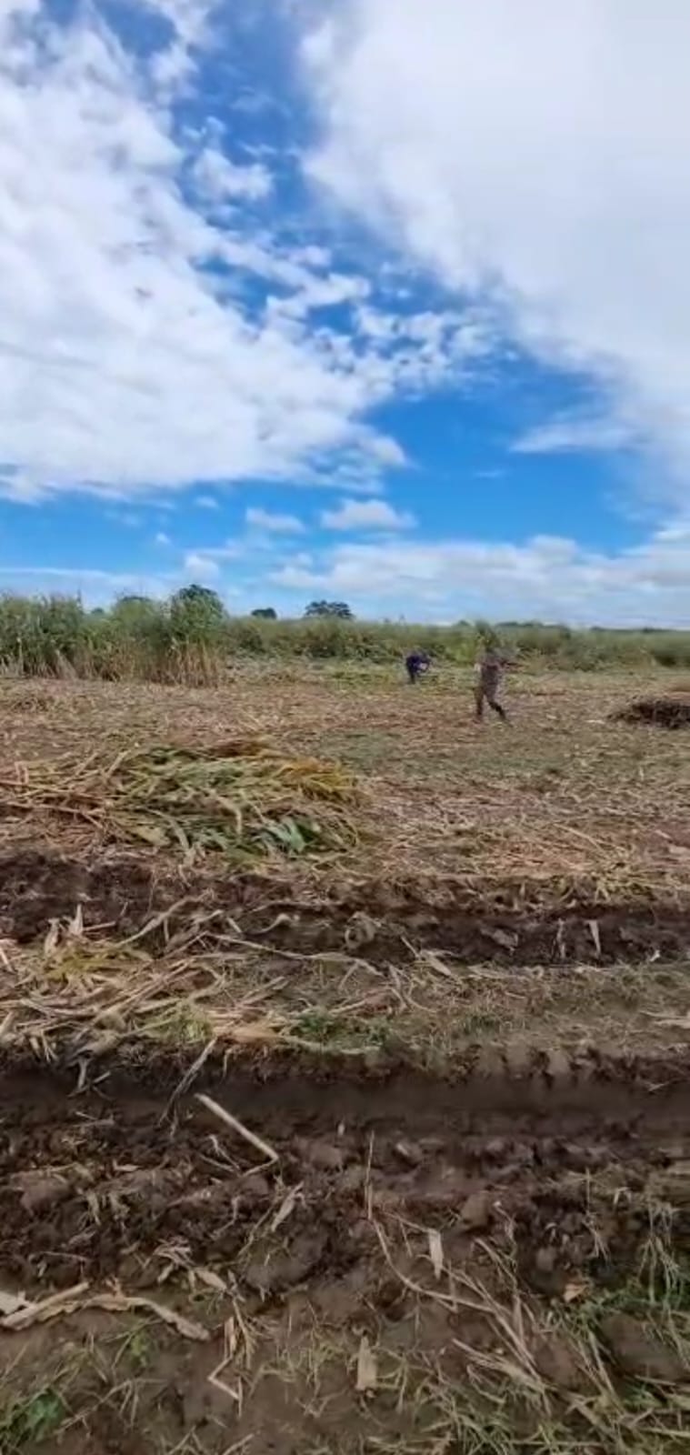 Venta de Finca Tecnificada para la Ganadería y Agricultura Córdoba
