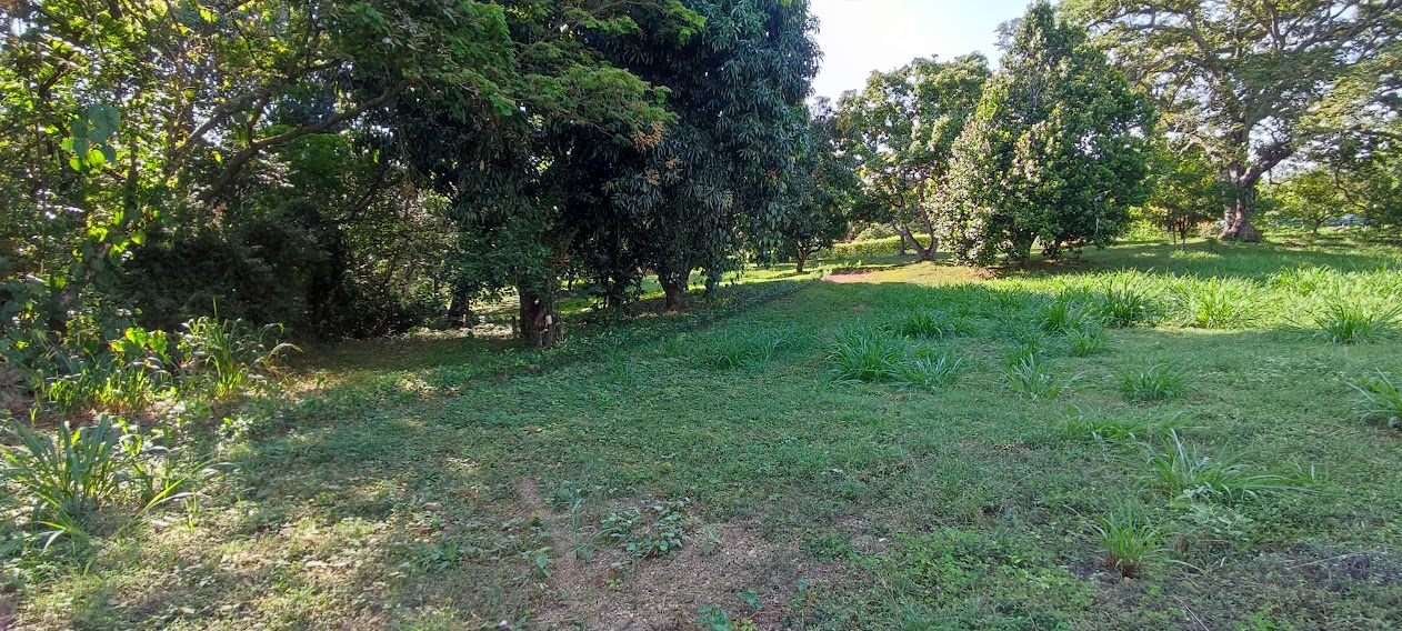 Venta de lote en Sopetran