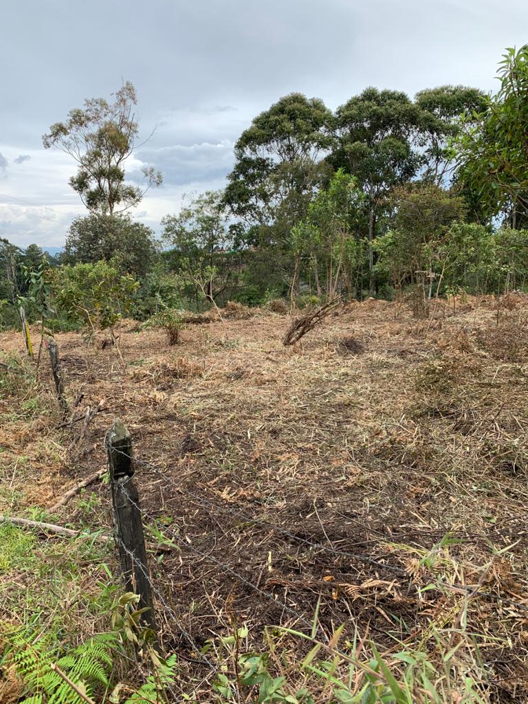 Venta de Lote en Rionegro