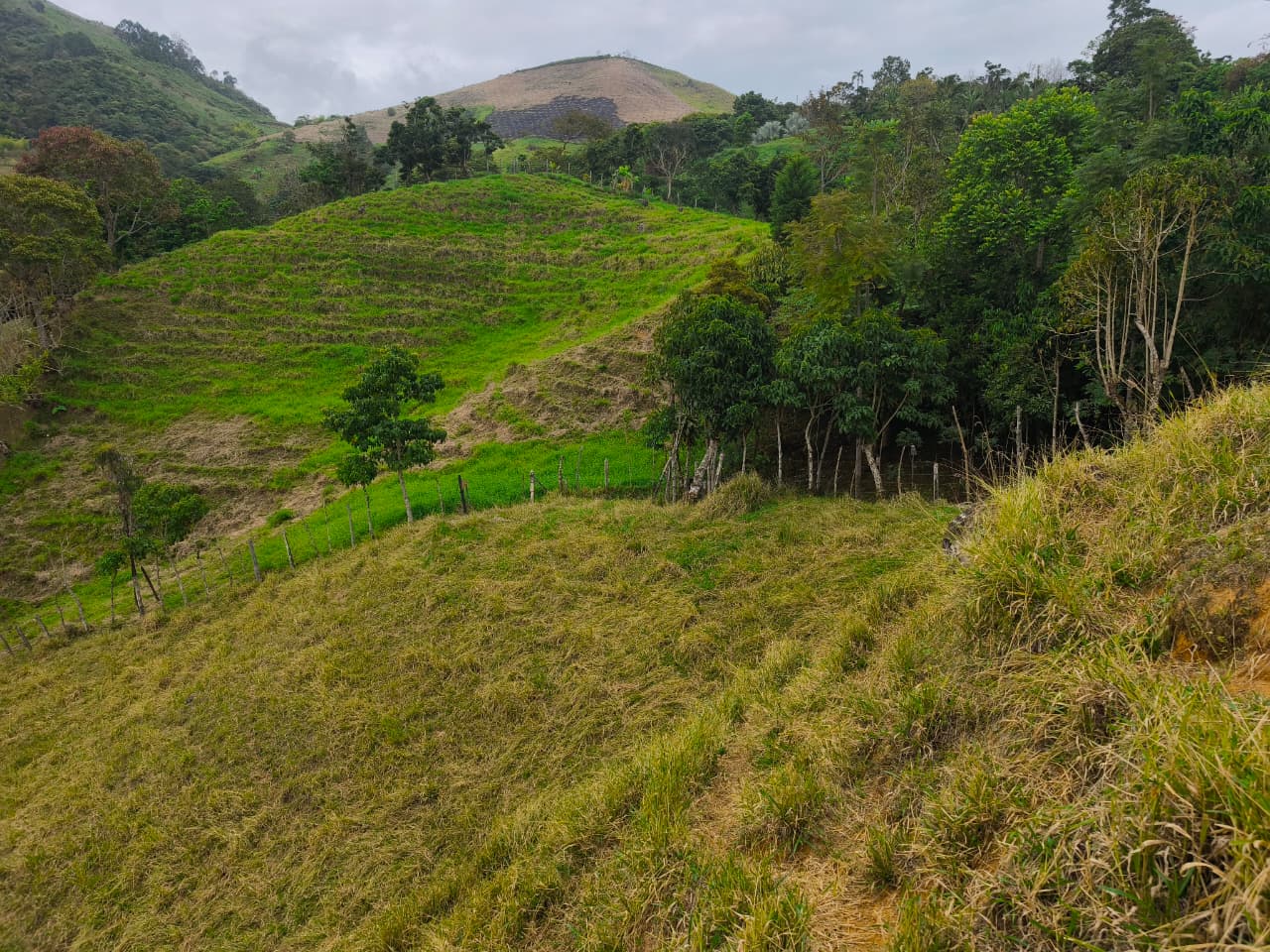 Finca en venta Titiribí Antioquia sector jardín