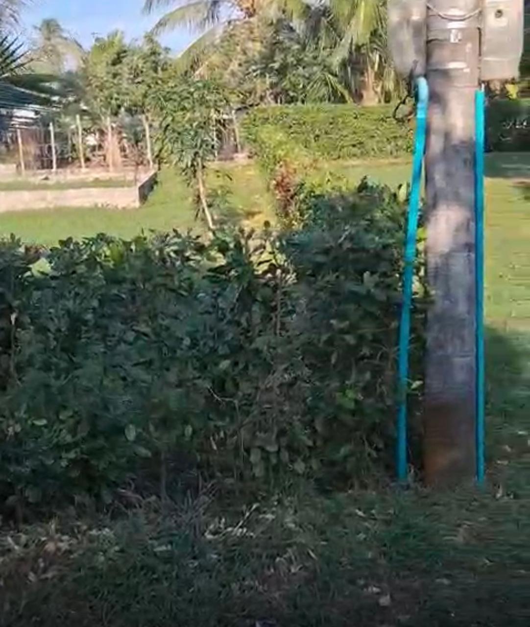 Venta de Lote en San Bernardo del Viento Córdoba