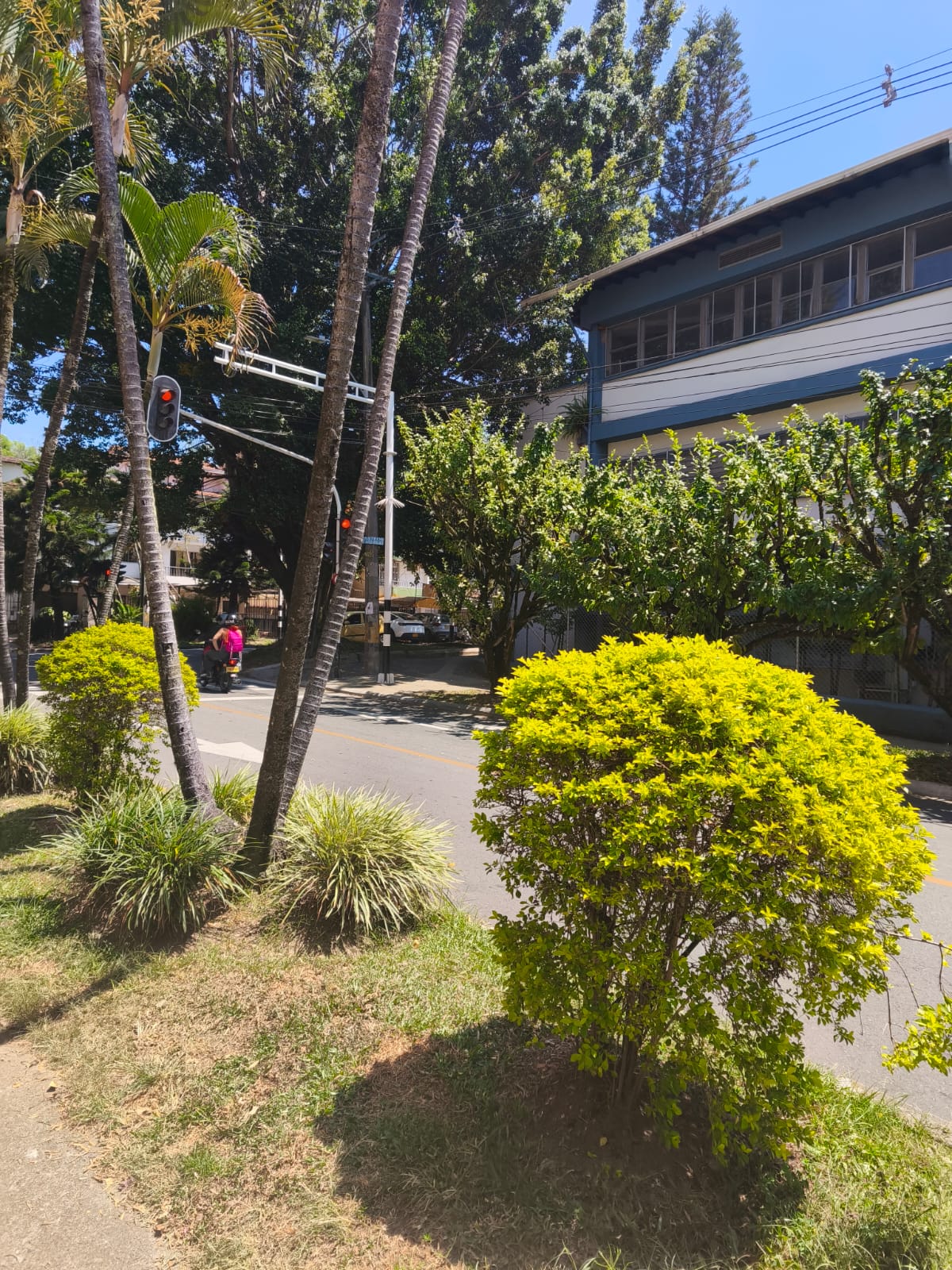 apartamento en venta simón bolívar