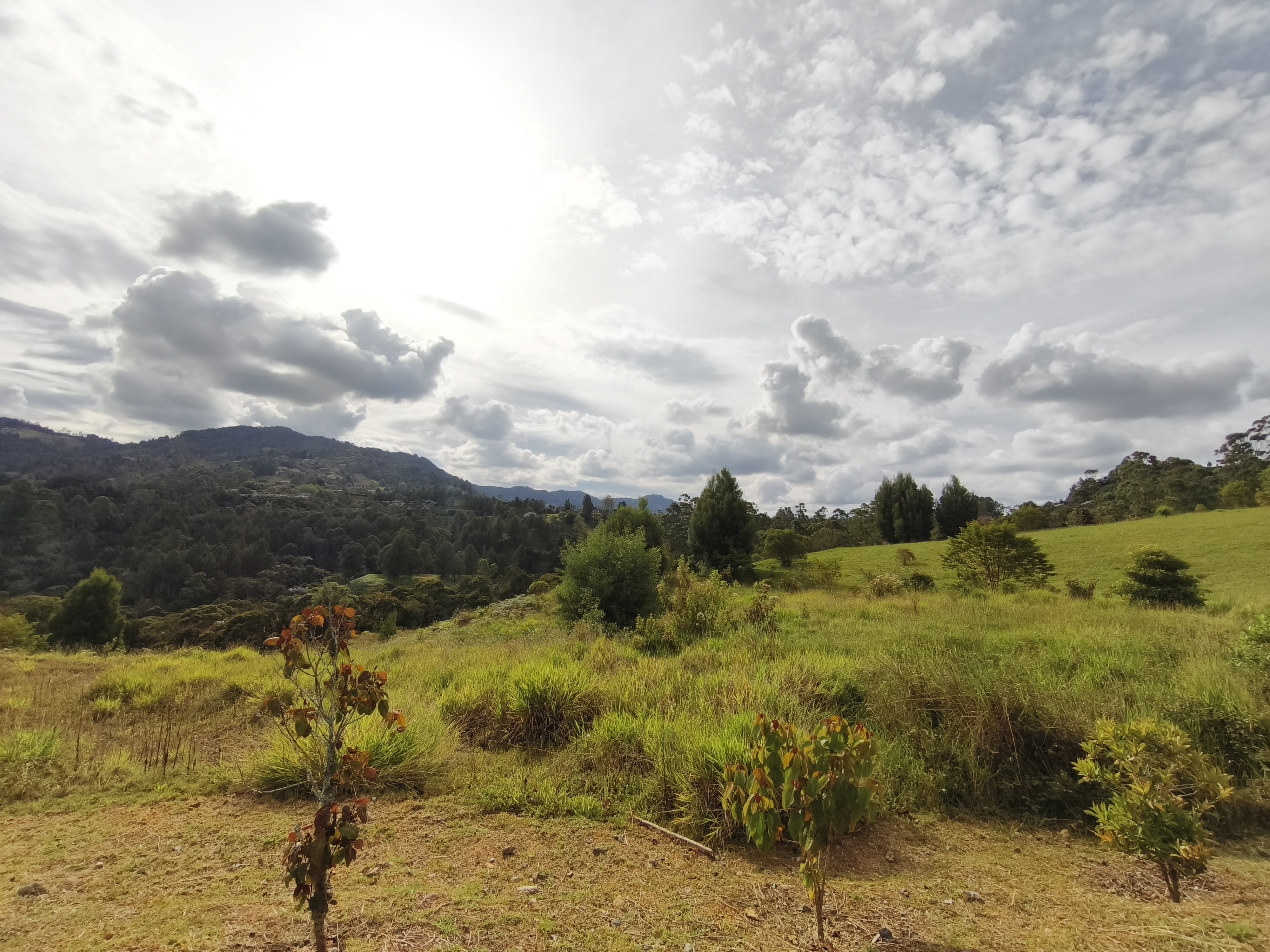 Venta de lote en Rionegro El Tablazo