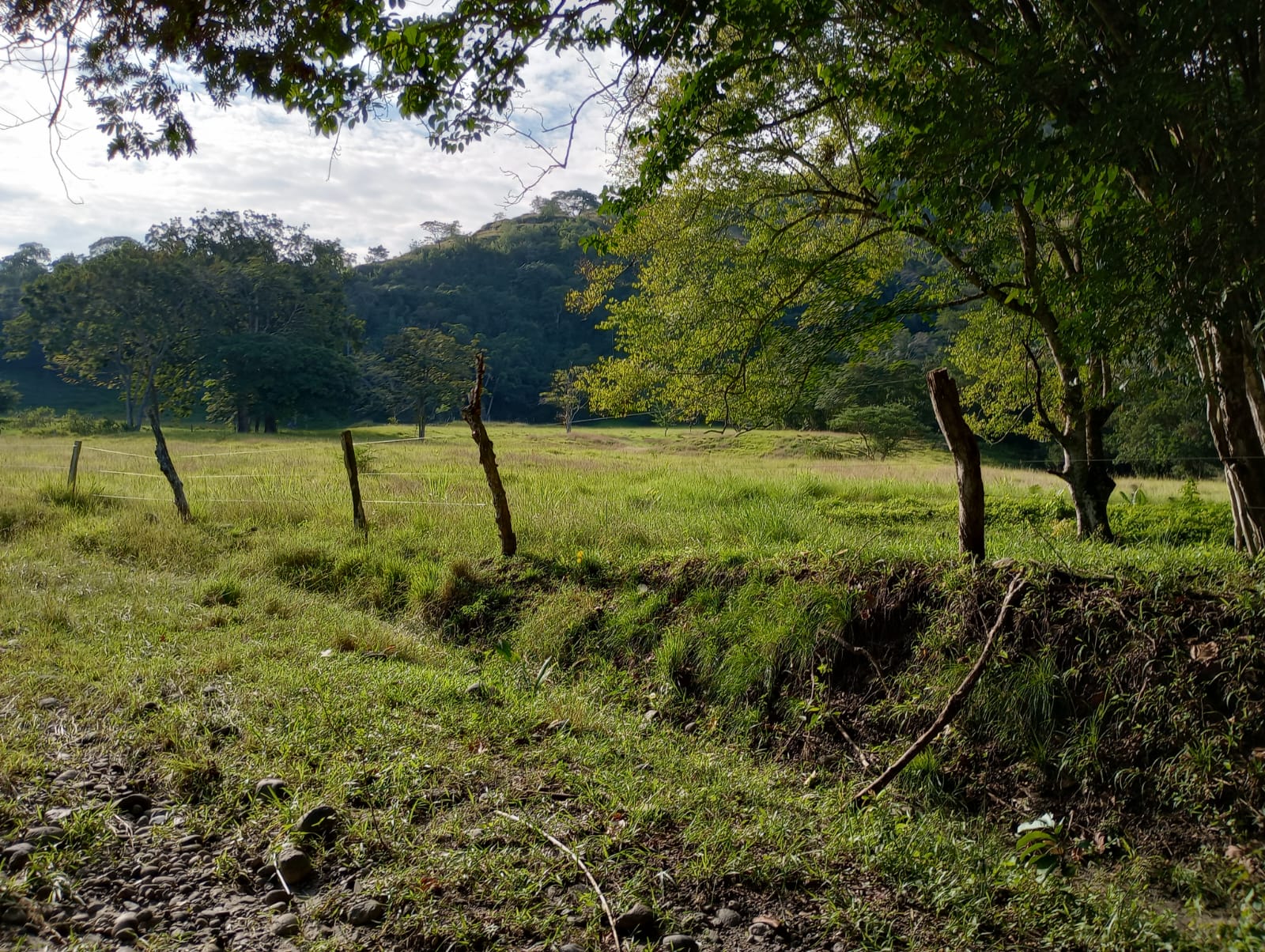 Finca en venta en Honda  Tolima