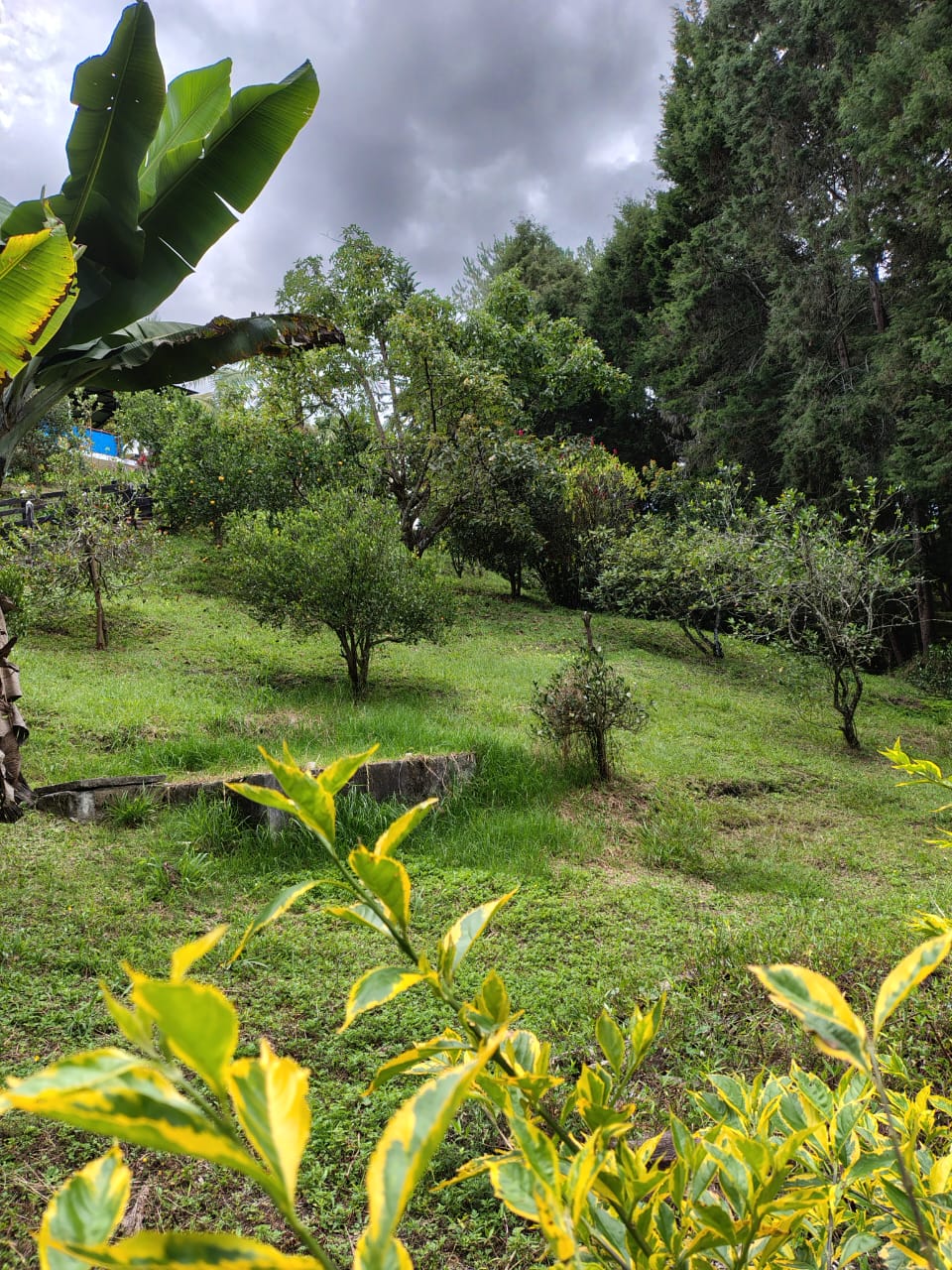 Casa para la venta en Rionegro vereda Mampuesto Antioquia