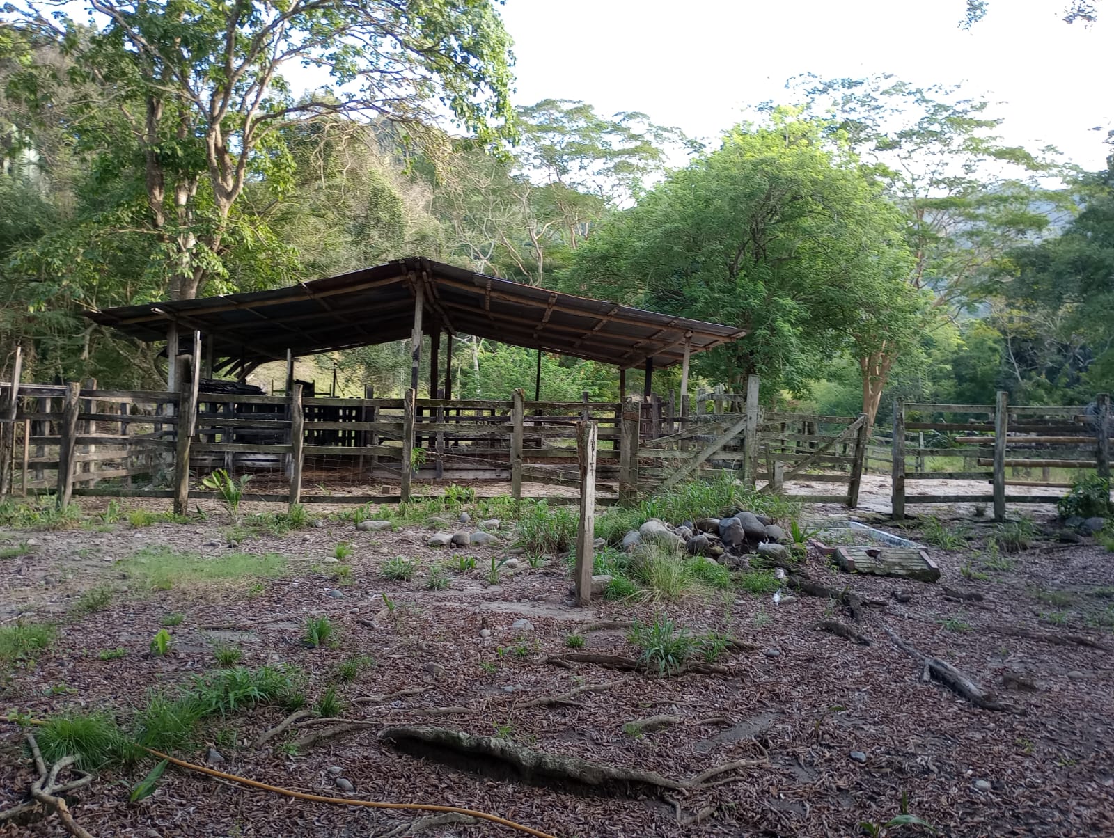 Finca en venta en Honda  Tolima