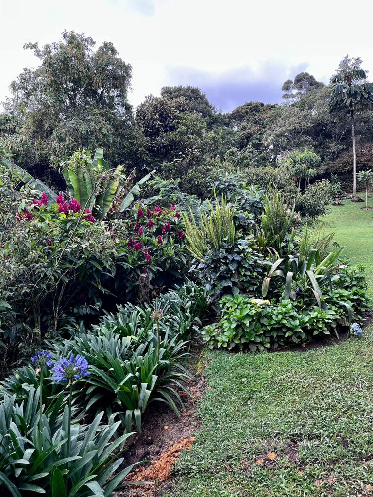 Venta de casa en El Pobaldo Las Palmas