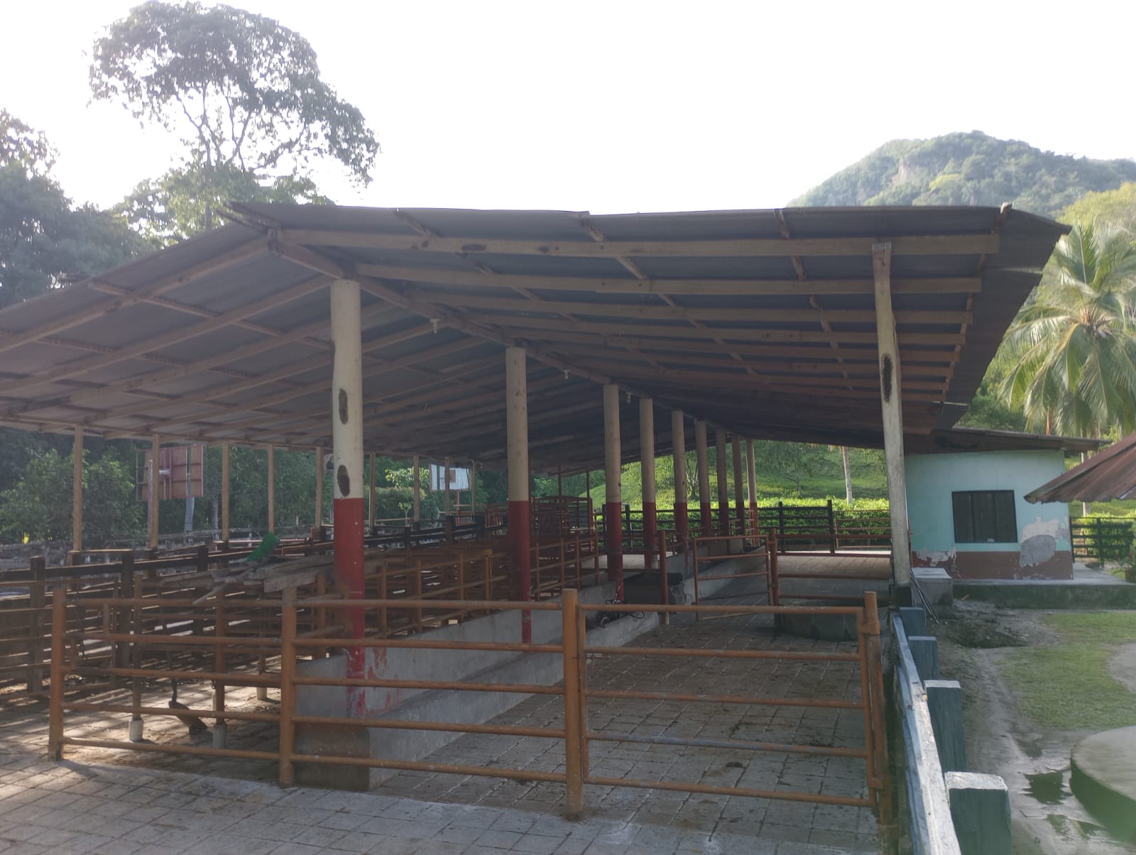 Finca en venta en Honda  Tolima