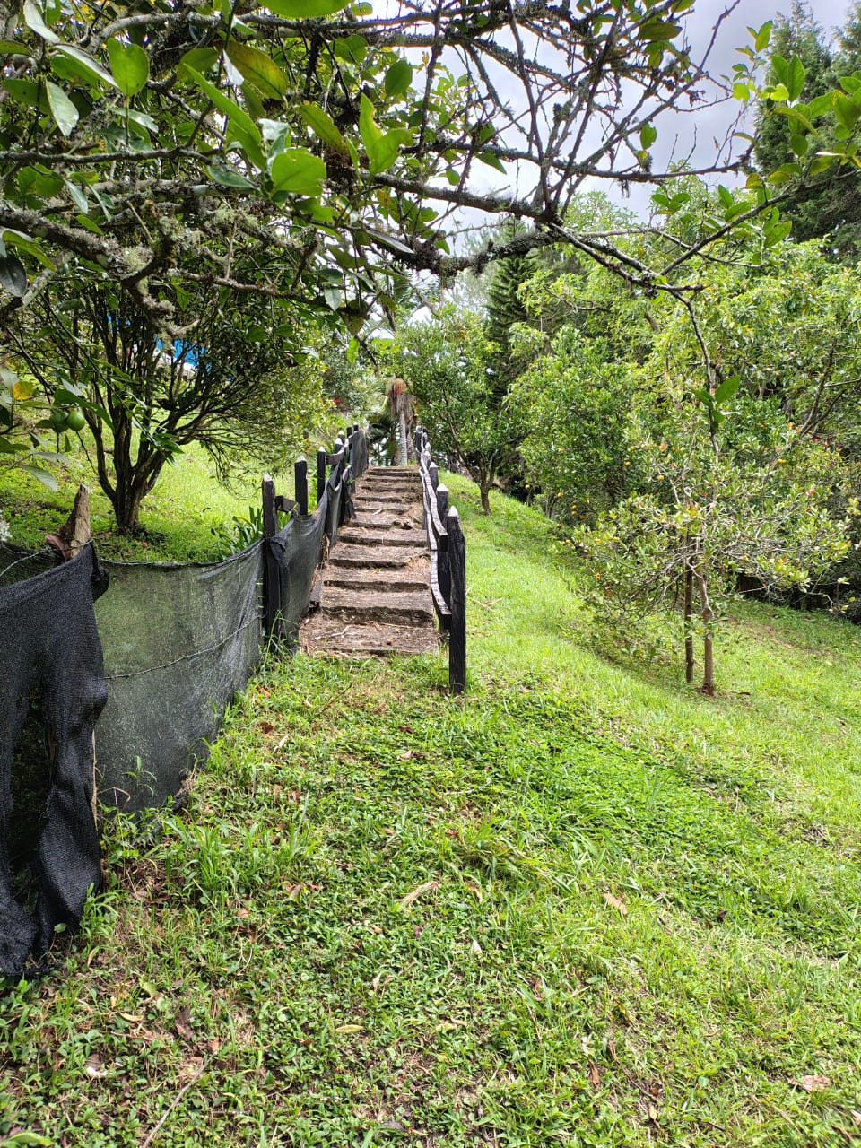 Casa para la venta en Rionegro vereda Mampuesto Antioquia
