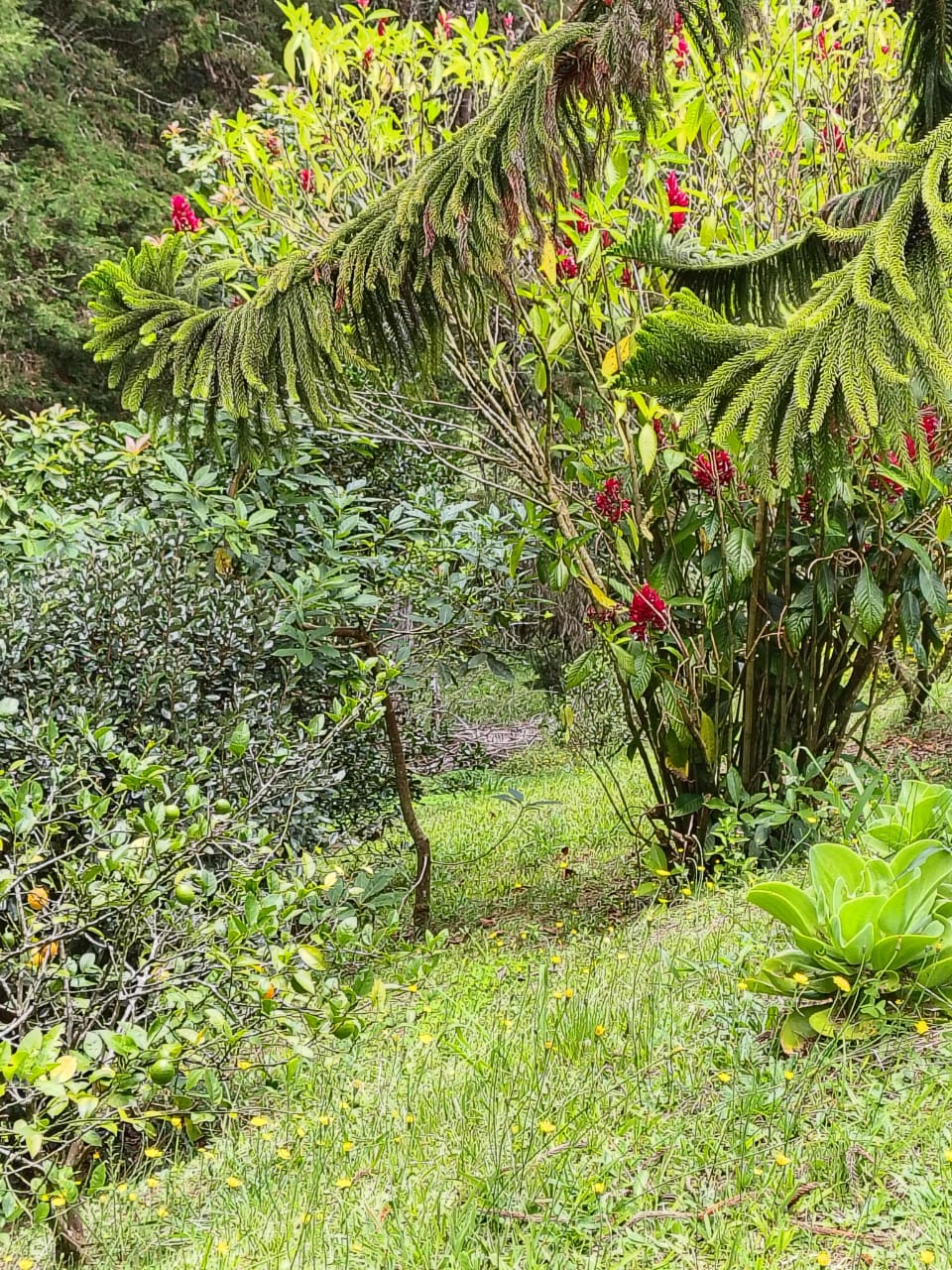 Casa para la venta en Rionegro vereda Mampuesto Antioquia