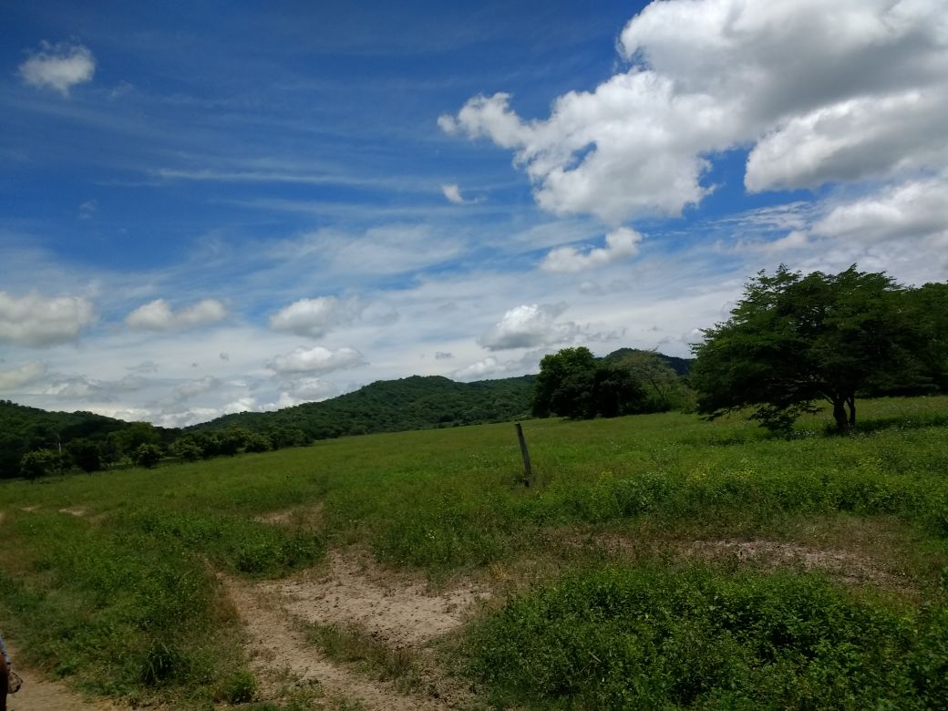 Finca en venta en el Tolima