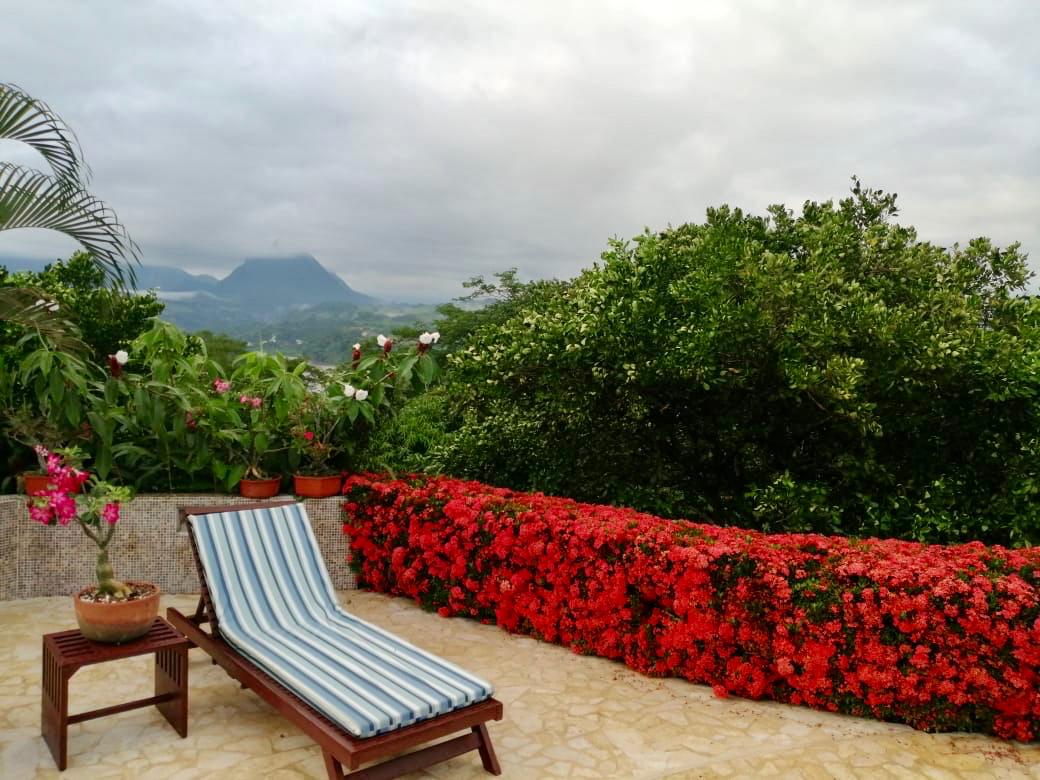 SE VENDE FINCA EN LA PINTADA  (ANTIOQUIA)