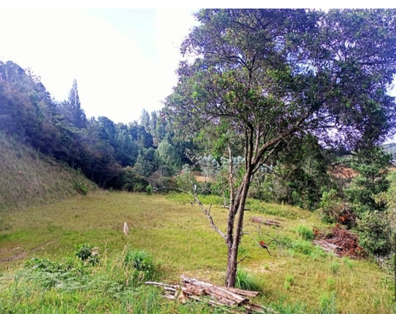 Lote para la venta en Envigado Altos del Escobero