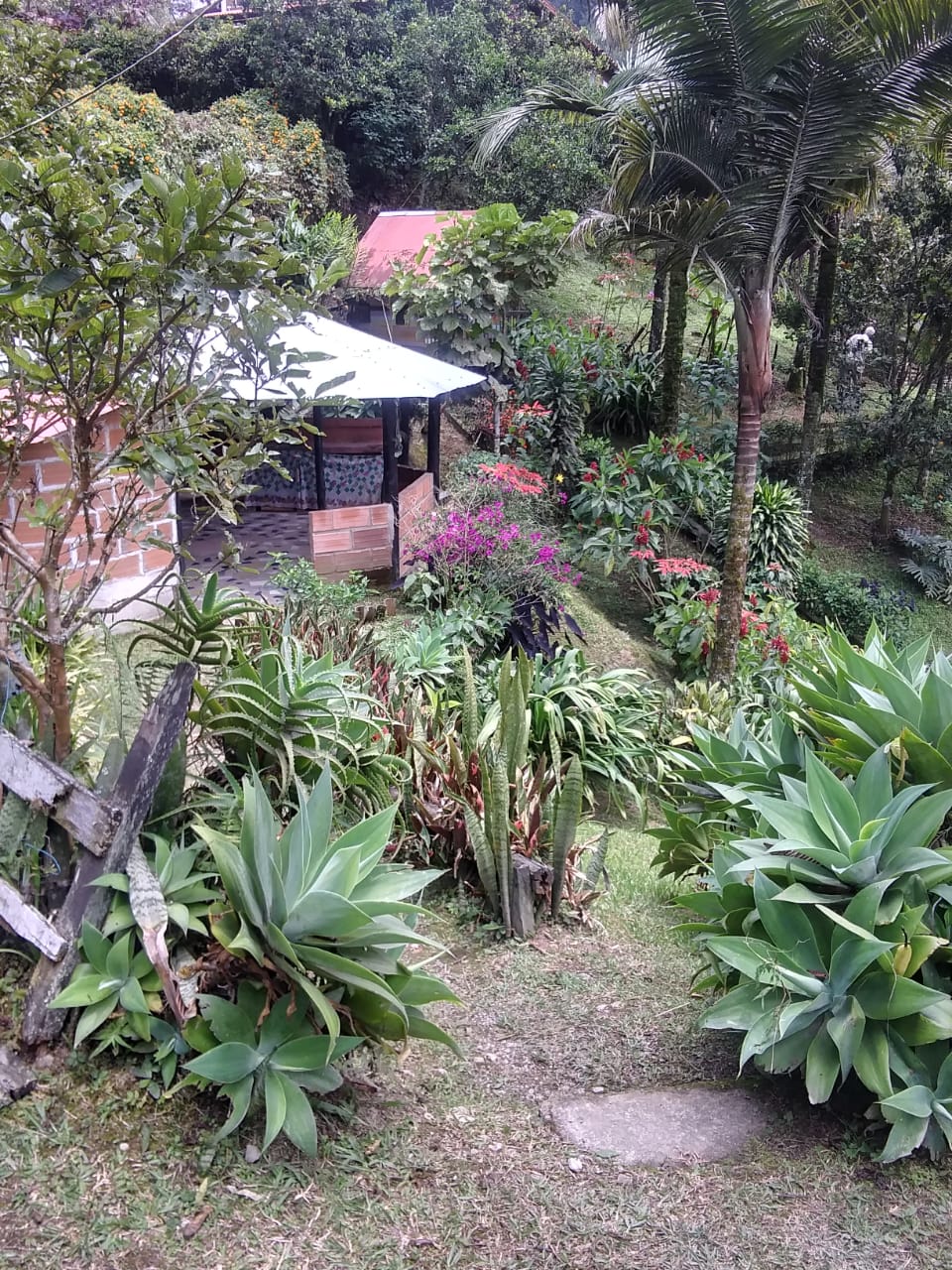 Finca en Venta Construccion Tradicional Caldas Antioquia
