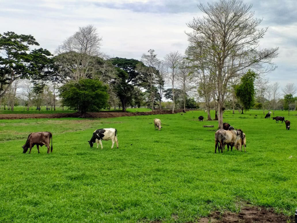 Finca en Venta en San Onofre Sucre