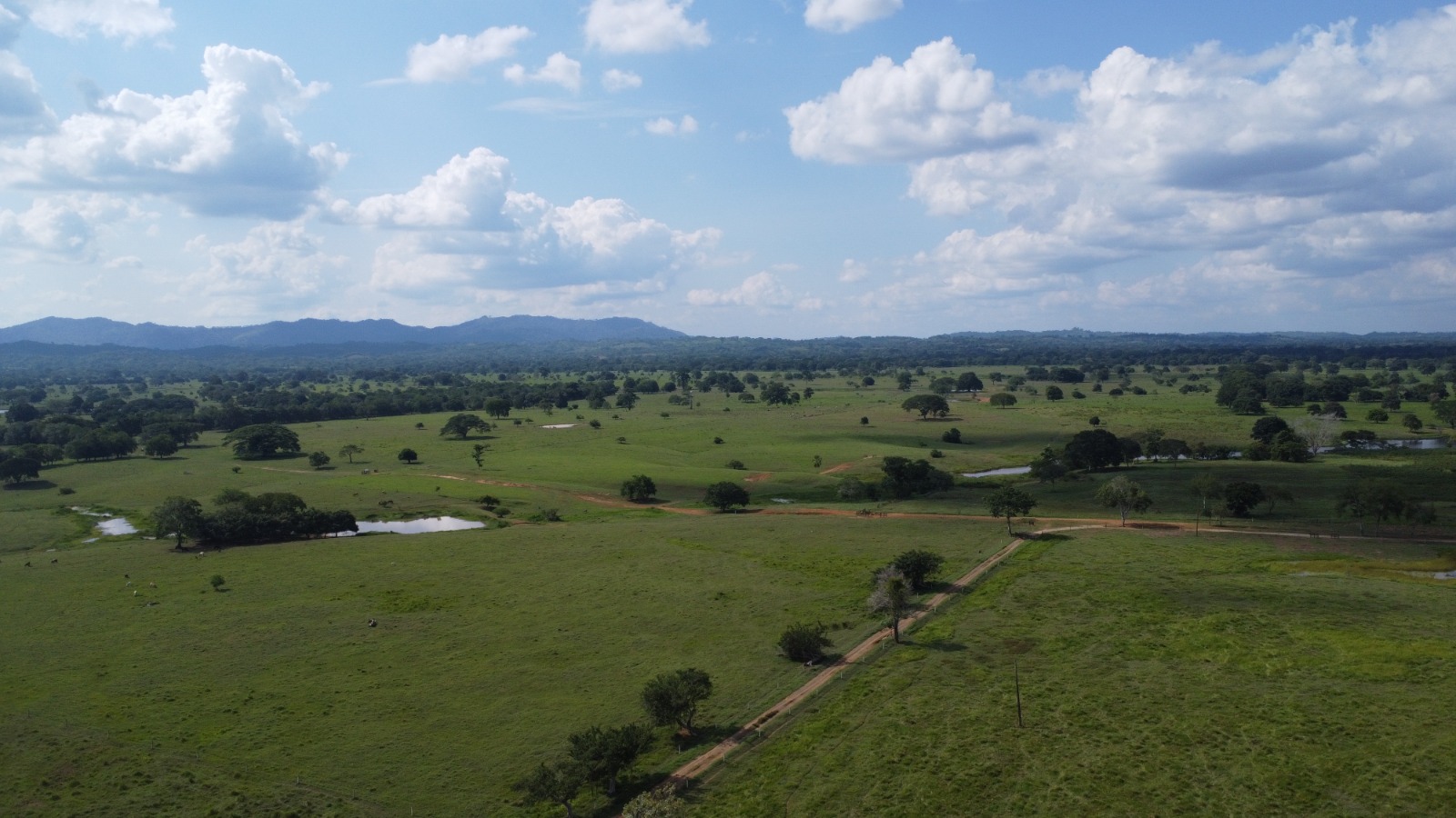 Finca en venta en Córdoba cerca de Montería