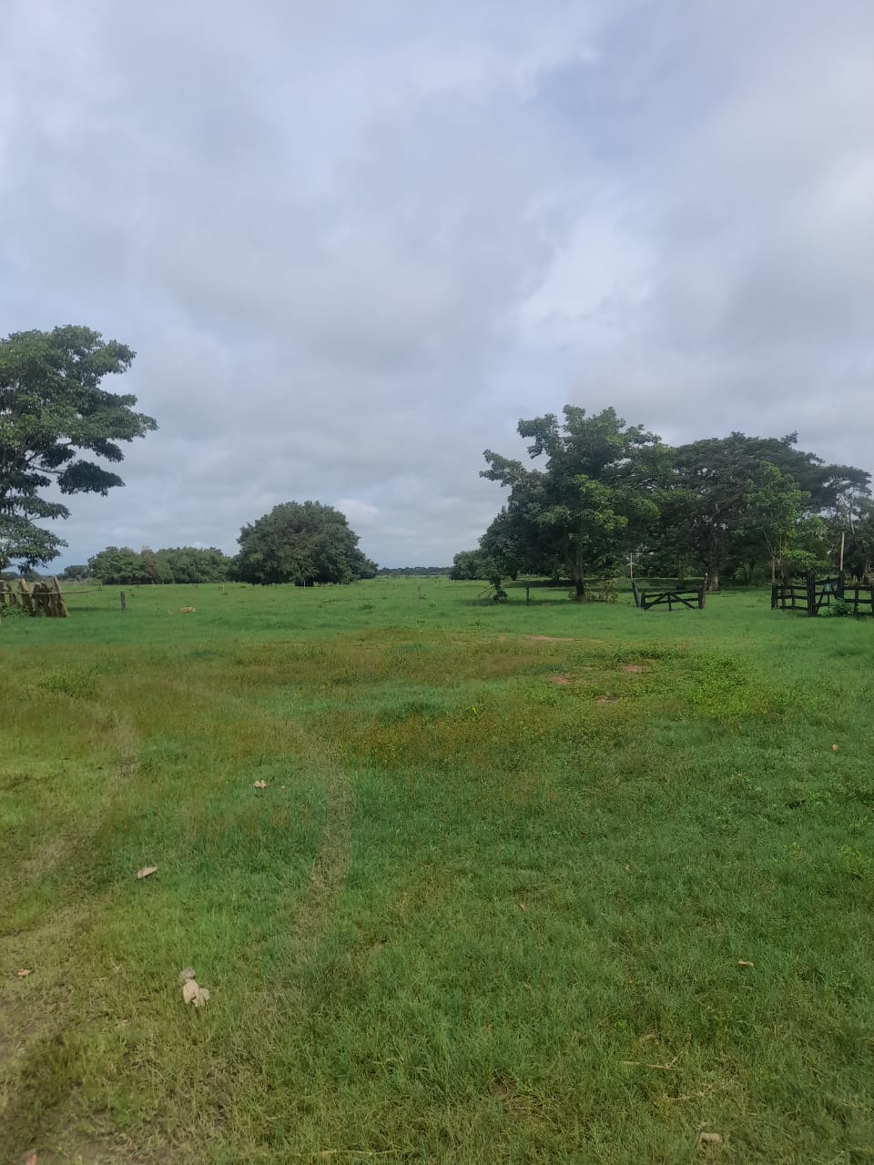 Finca en venta en Córdoba cerca de Montería
