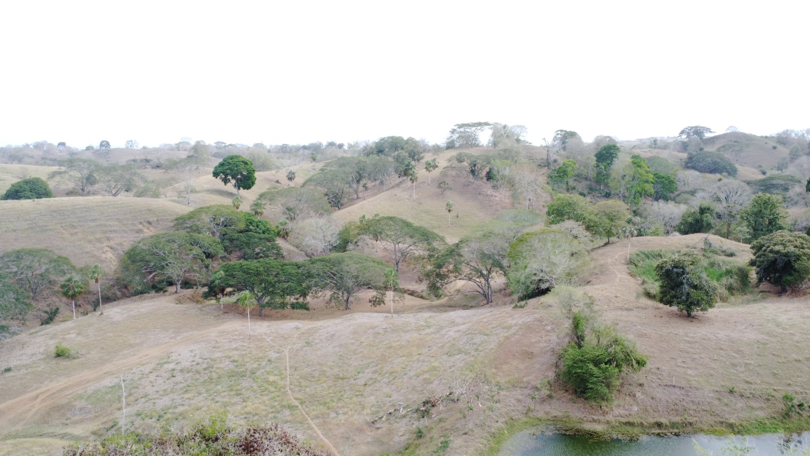 Finca en venta en los Córdobas  cerca de Monteria