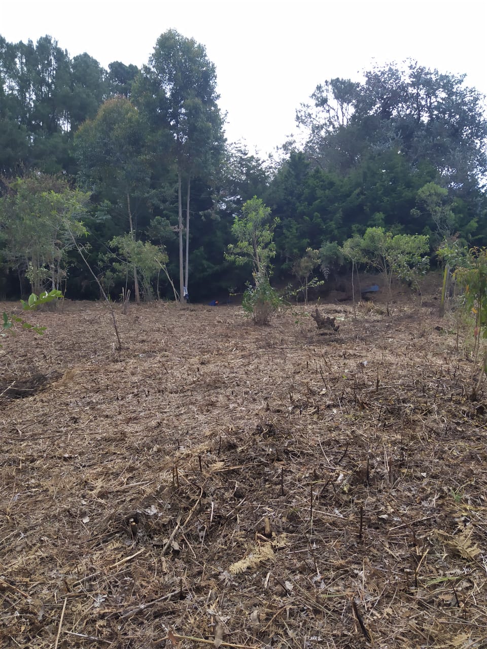 Venta de Lote en Rionegro